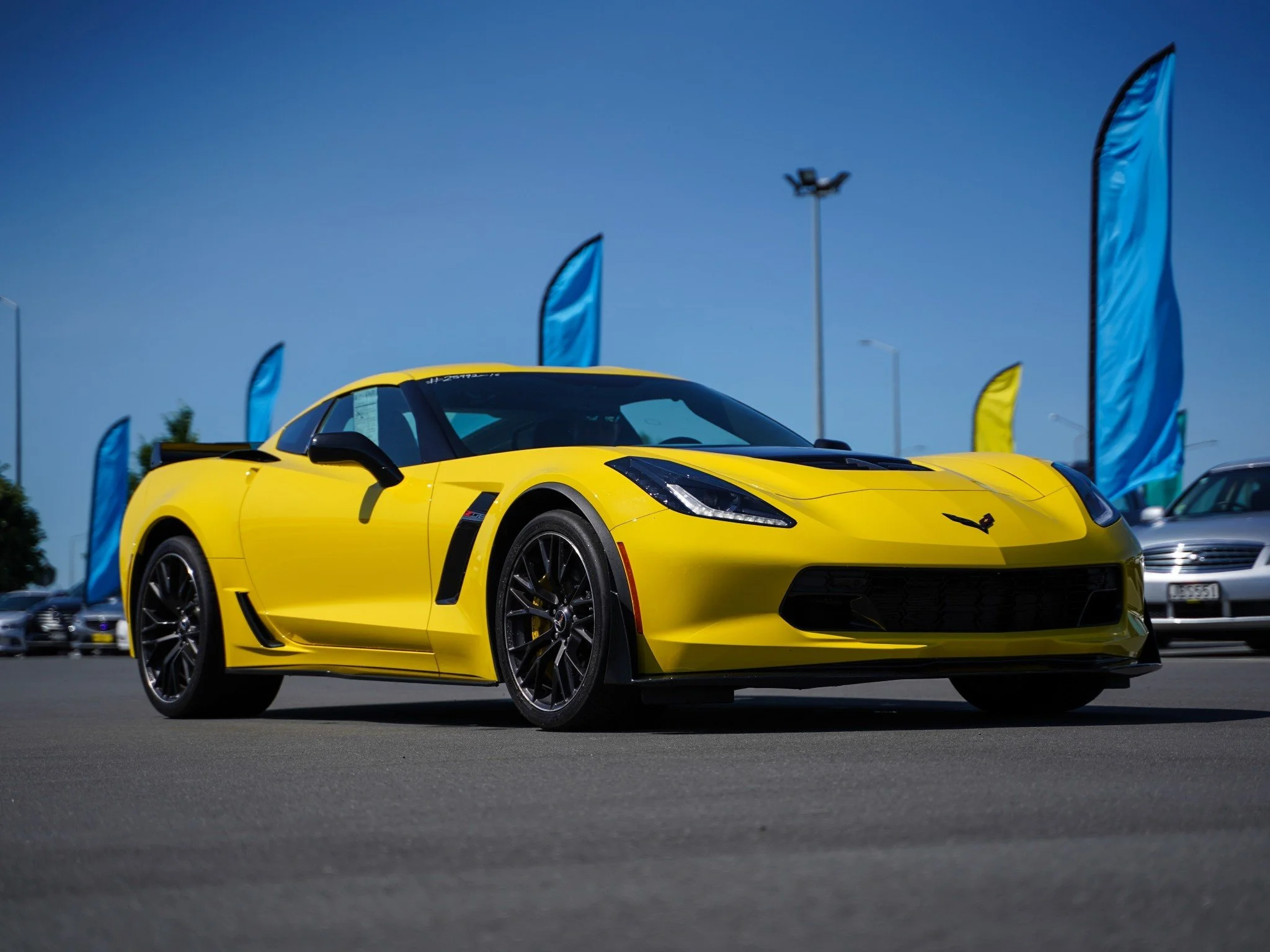 Hello summer! Just in time for autumn