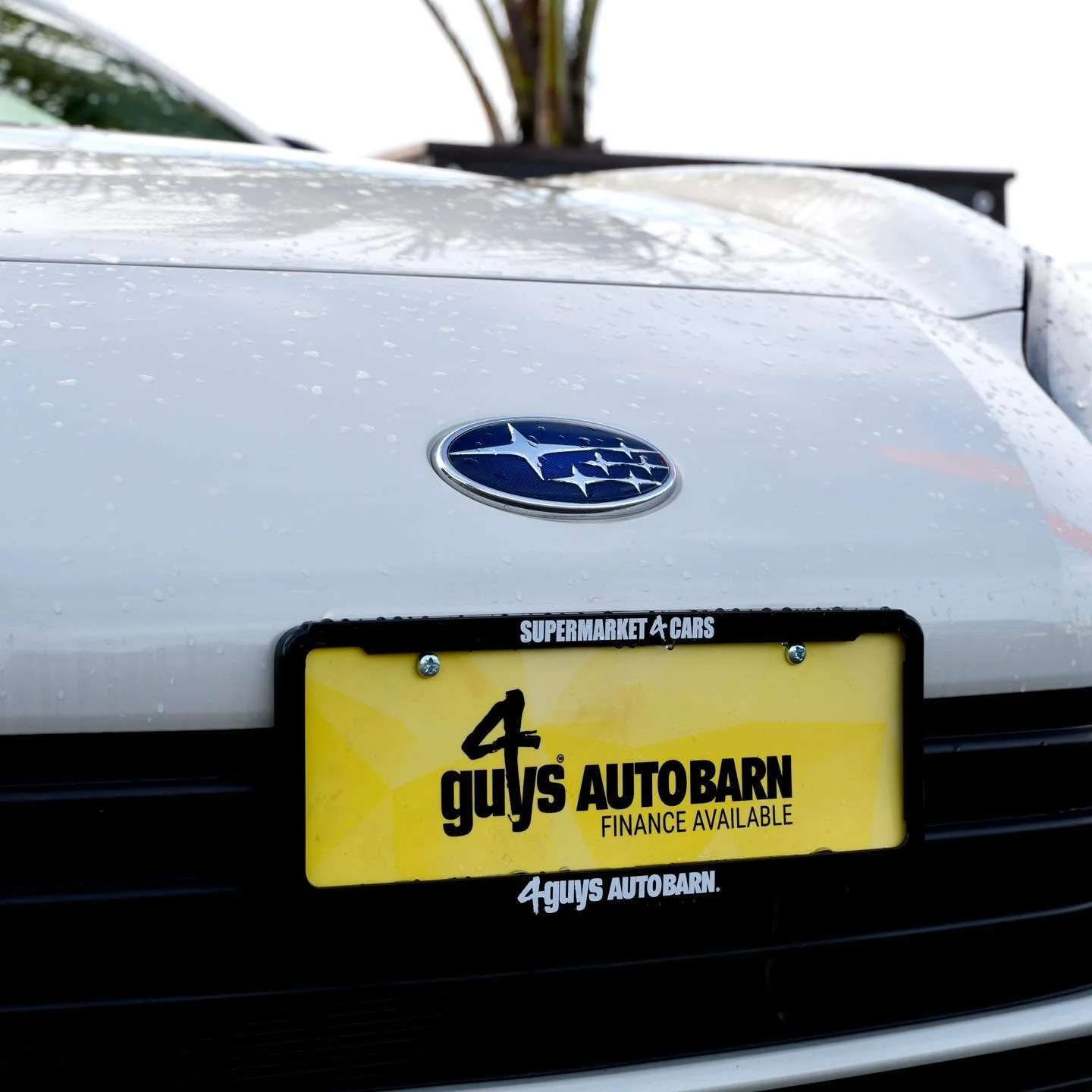 Rain or shine we are open on Matariki. Pop in and and choose your next ride.
