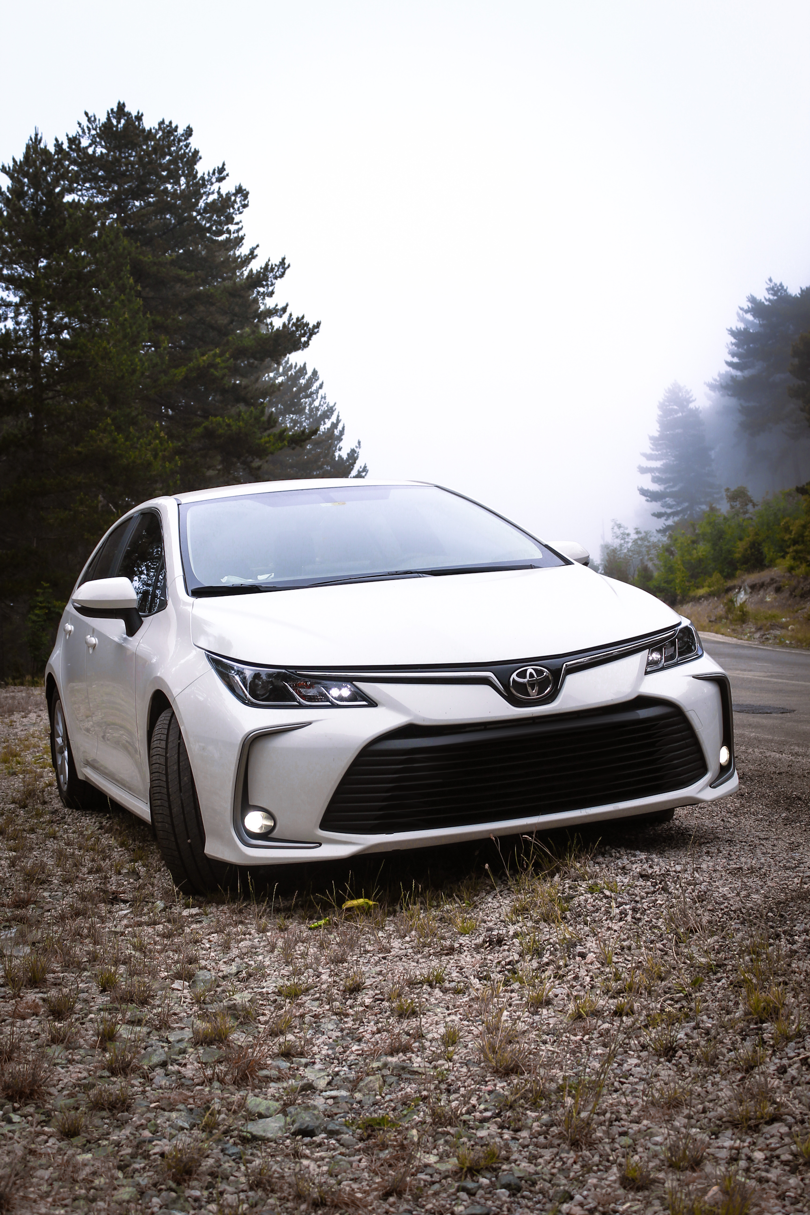 Most Reliable Used Cars in NZ