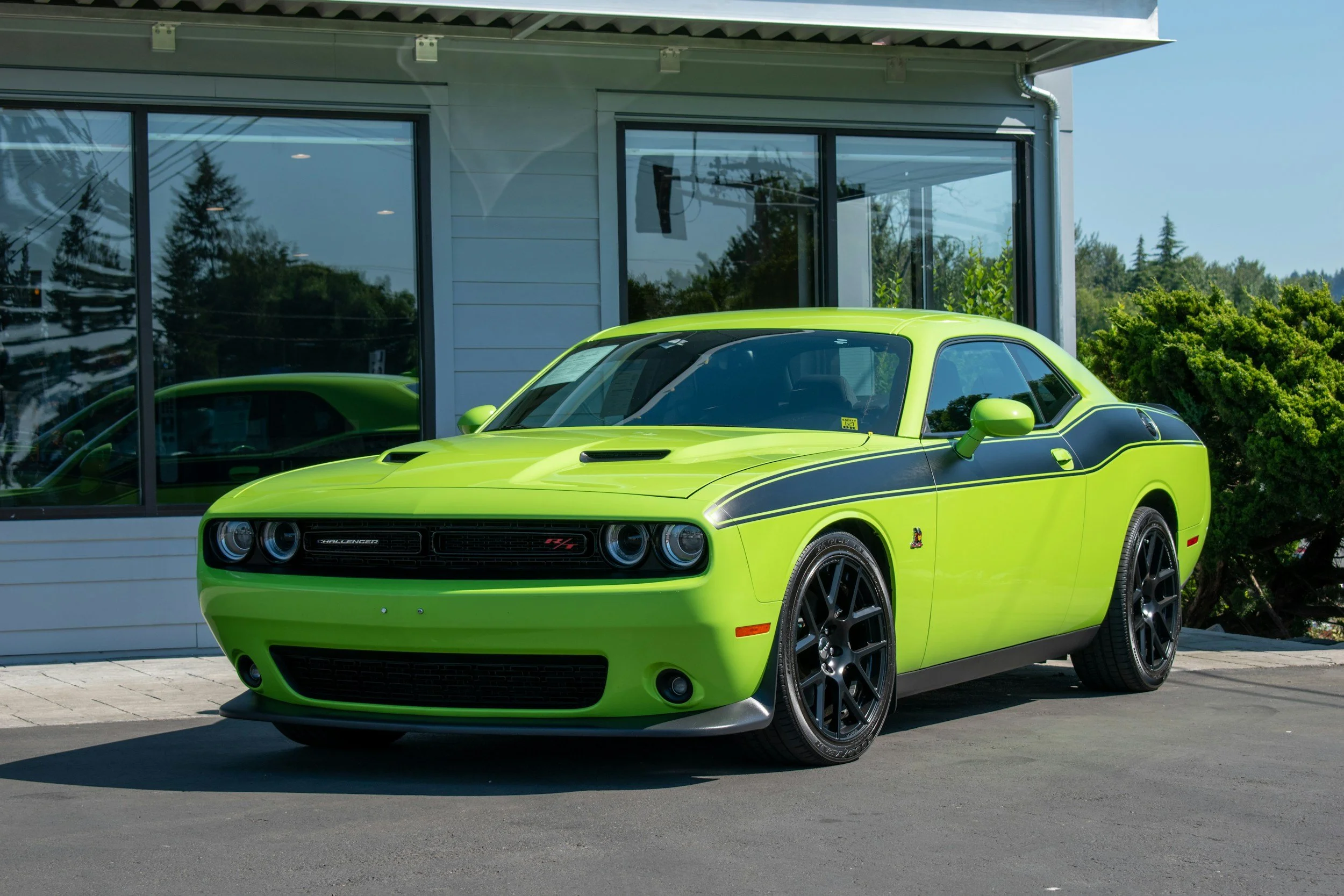 Left-Hand Drive in NZ: Is It Legal, and What's It Like to Own?