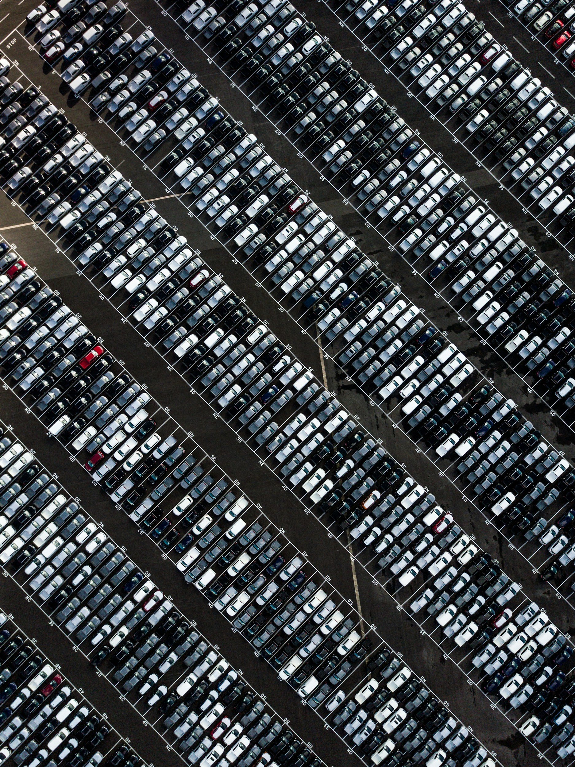 Are Japanese Imports Reliable in NZ?