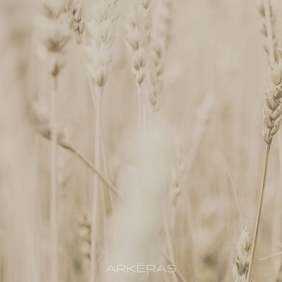 Our client Arkeras was founded by a woman who drew her inspiration from the natural beauty of the San Juan Islands, specifically Lopez Island with its unique combination of forests, beaches, cliffs, and farmland. Nature bathing at its finest.
.
.
.
.