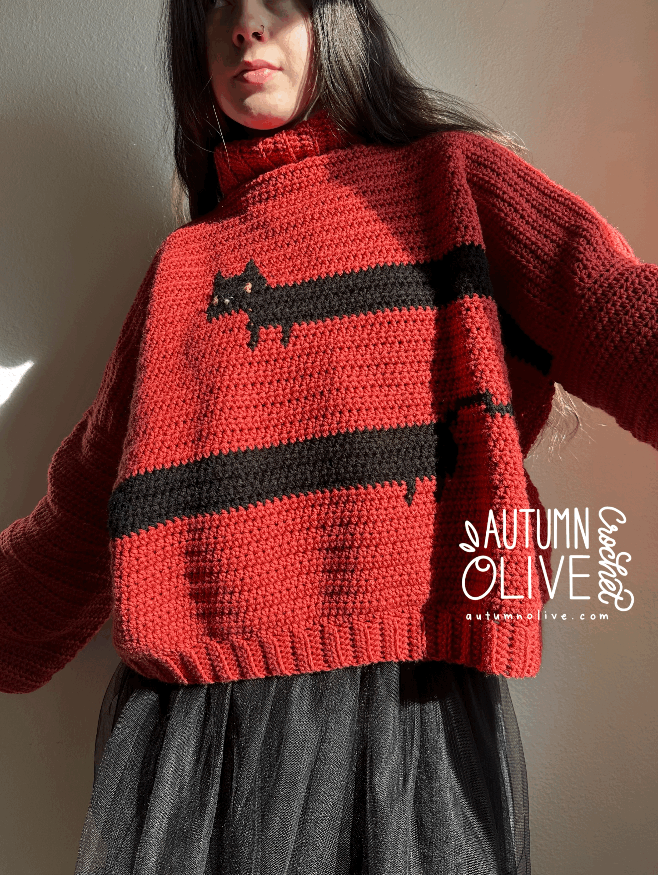 long cat colorwork graphic