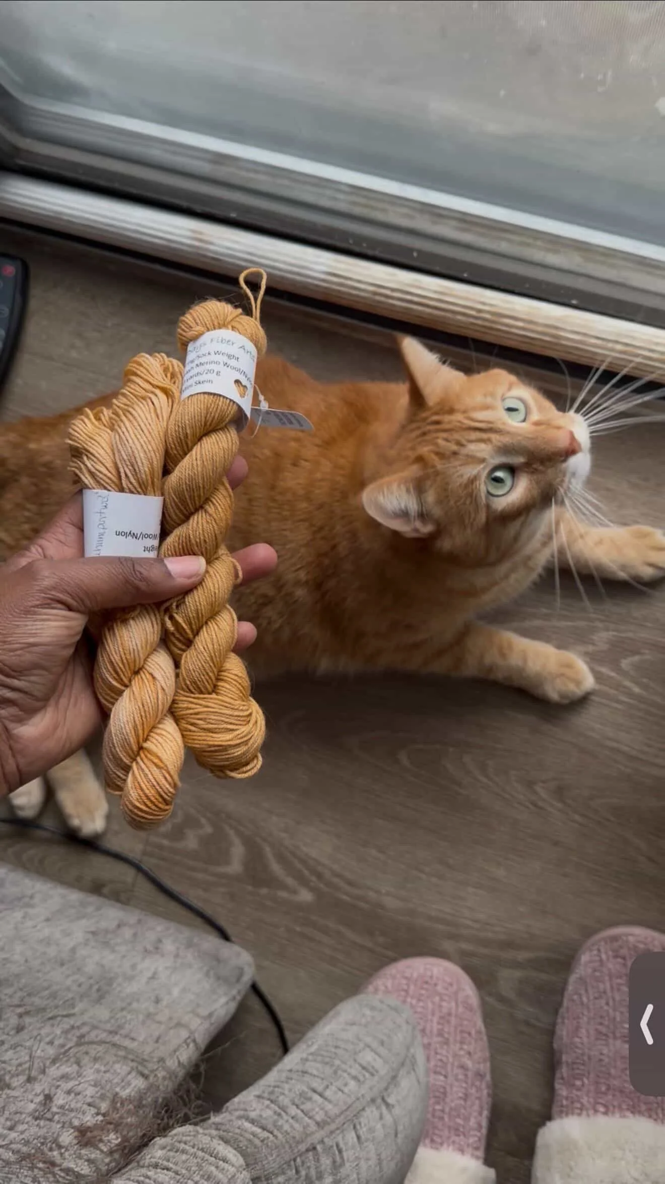 purrfect