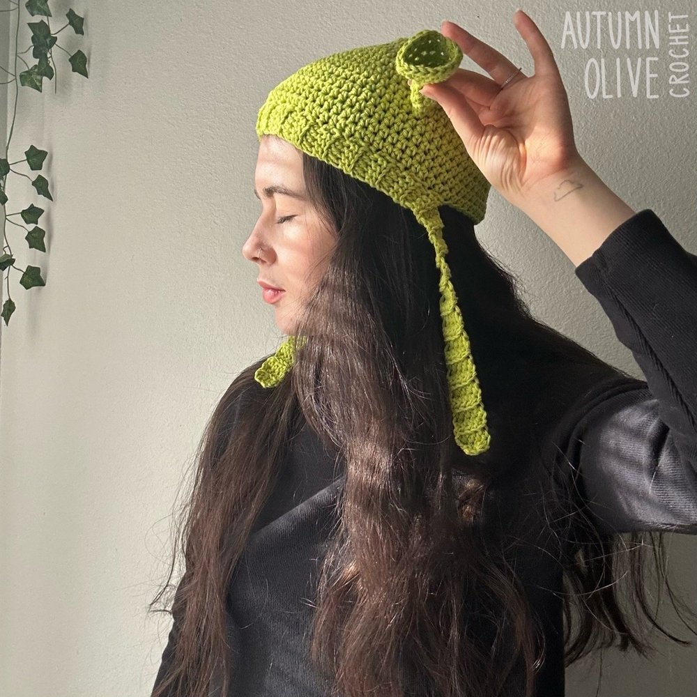 Shrek Beanie With Ears Shrek Hat With Ears Adult Size Green