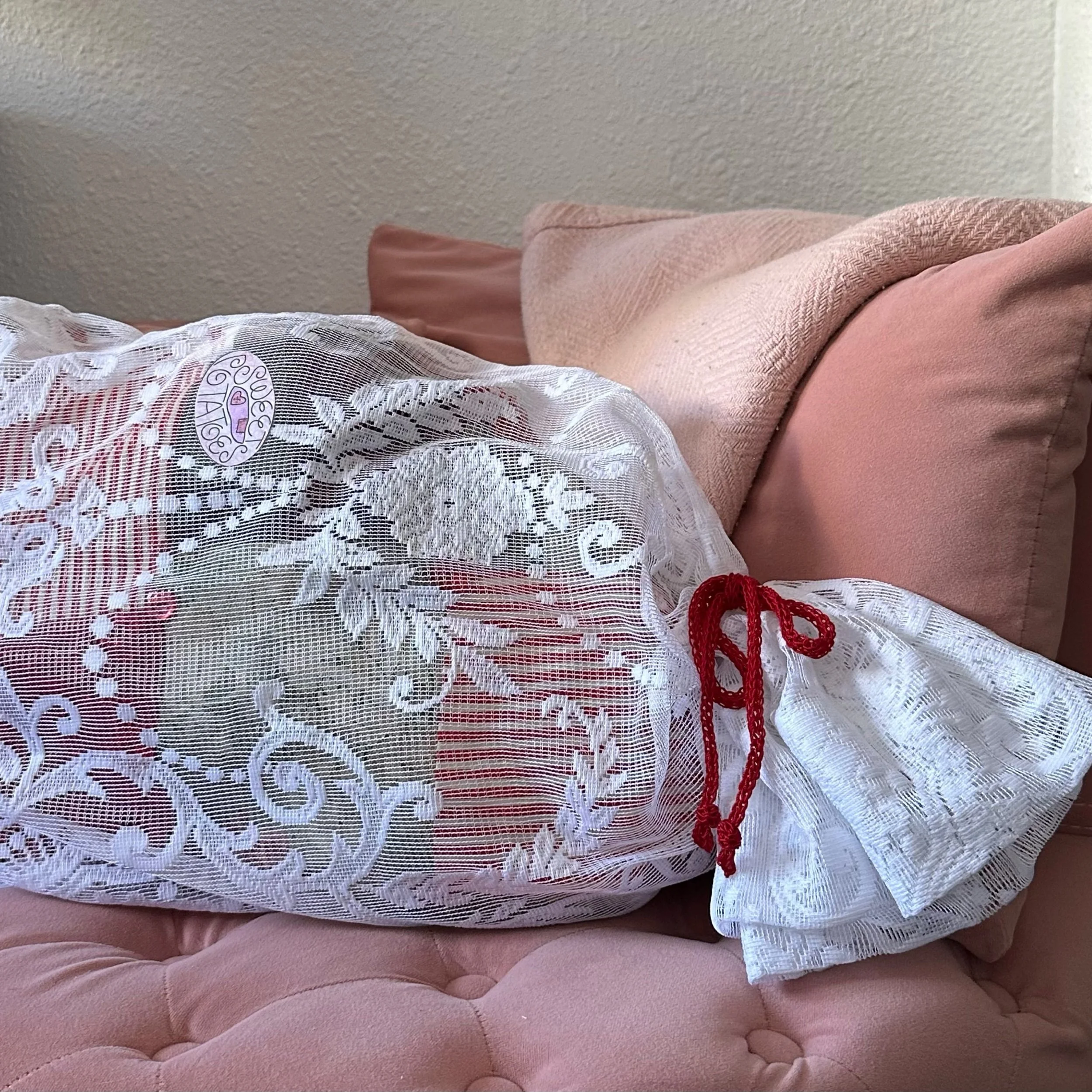 "couch potatoes" red potato pillow