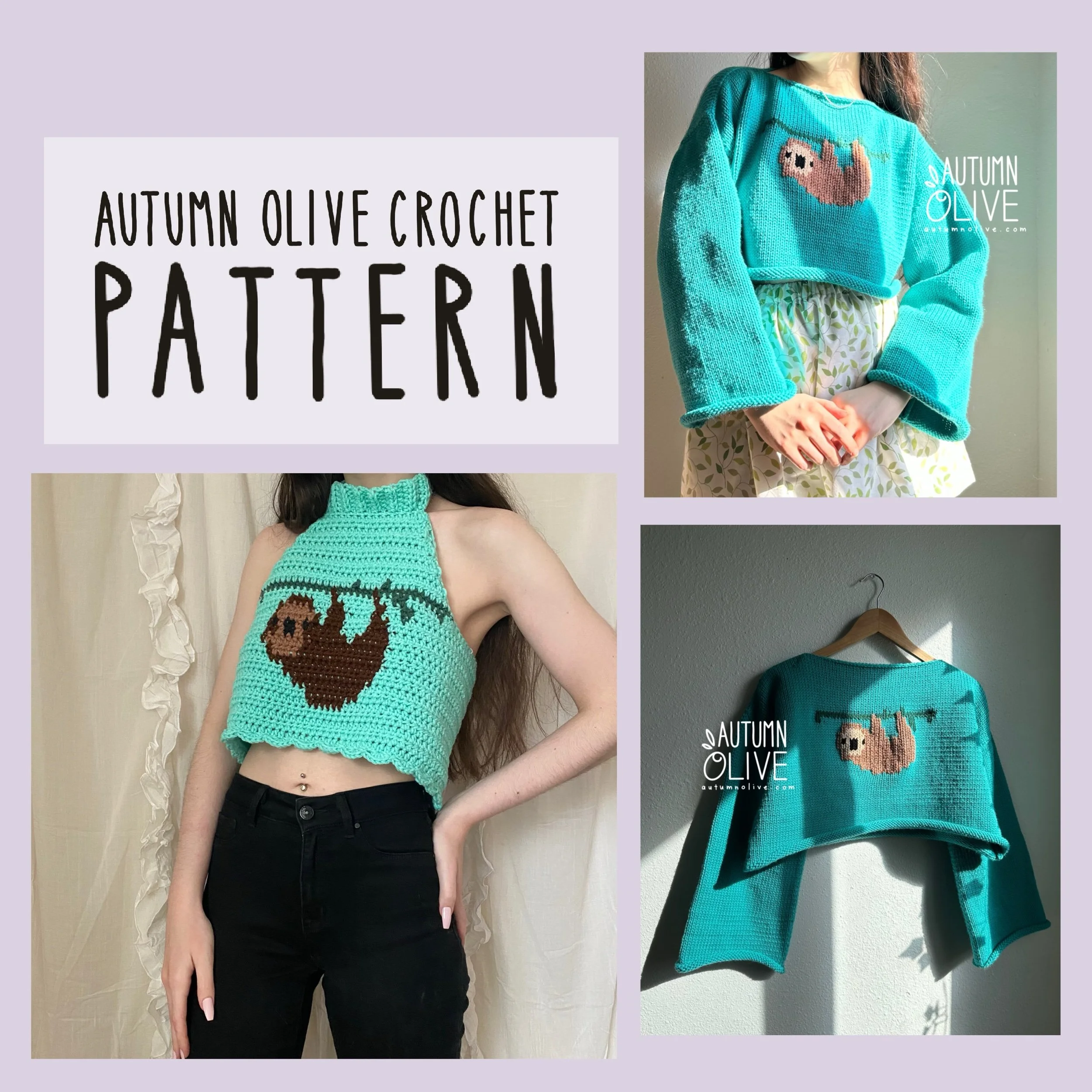 sloth colorwork graphic