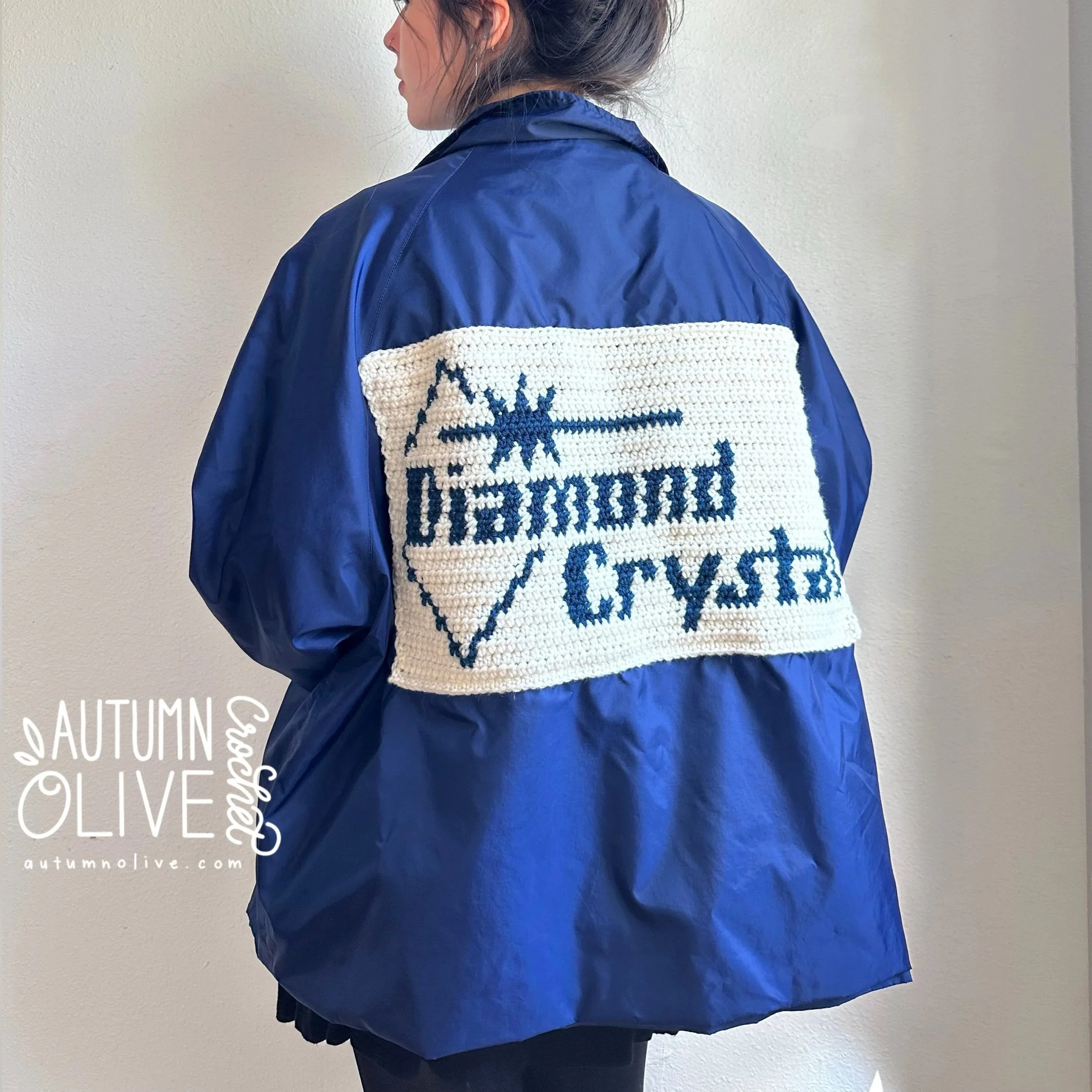 diamond crystal windbreaker | 2X