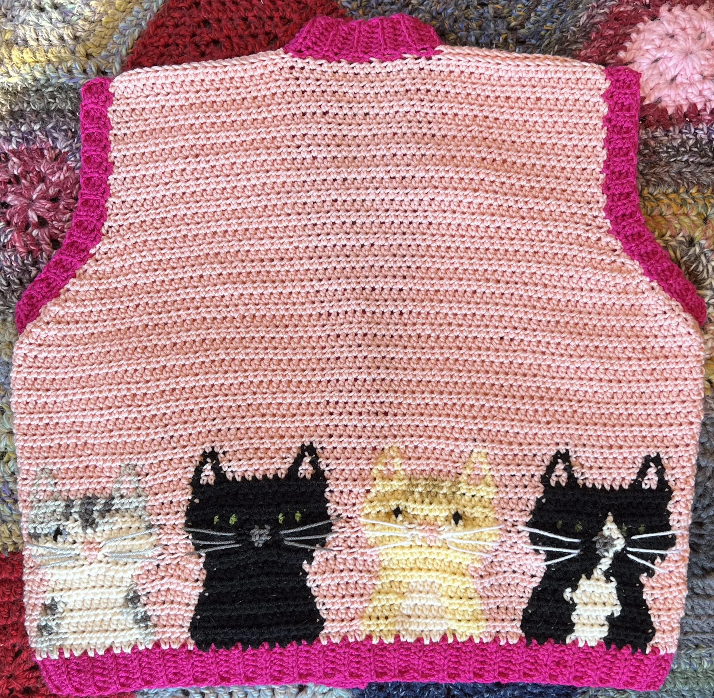 many cats!