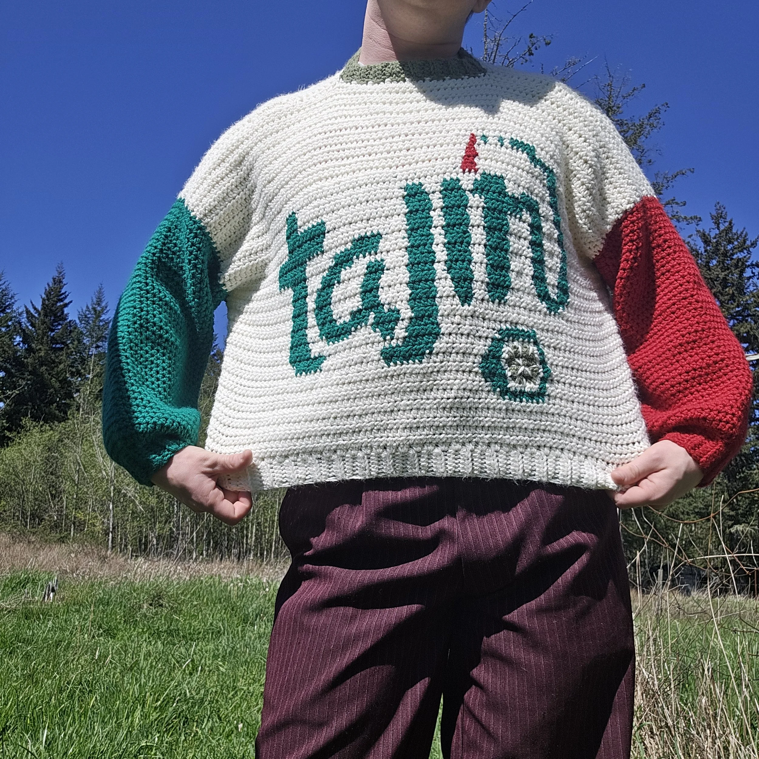 tajín sweater