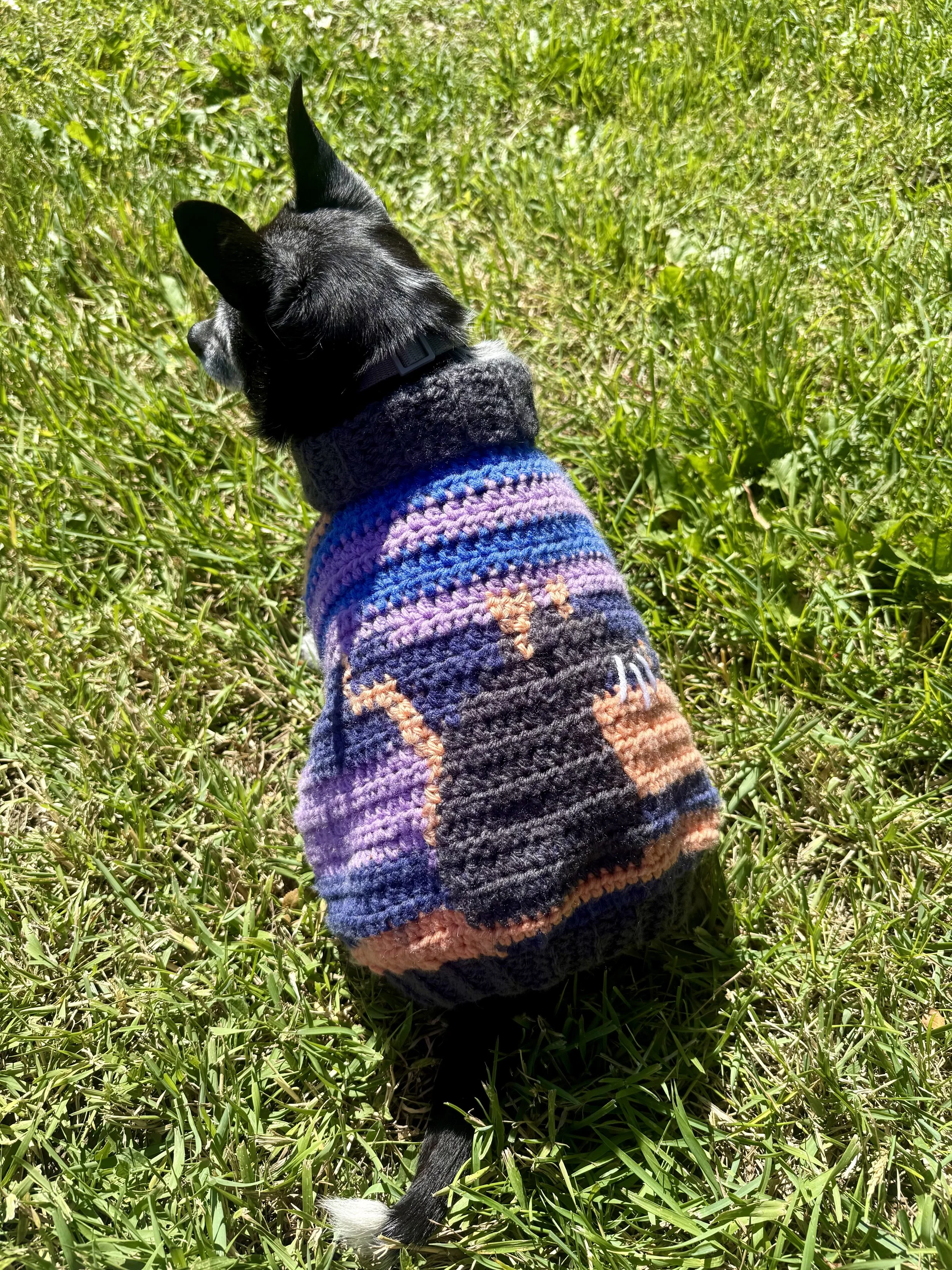 rat on "sweater for pets" pattern