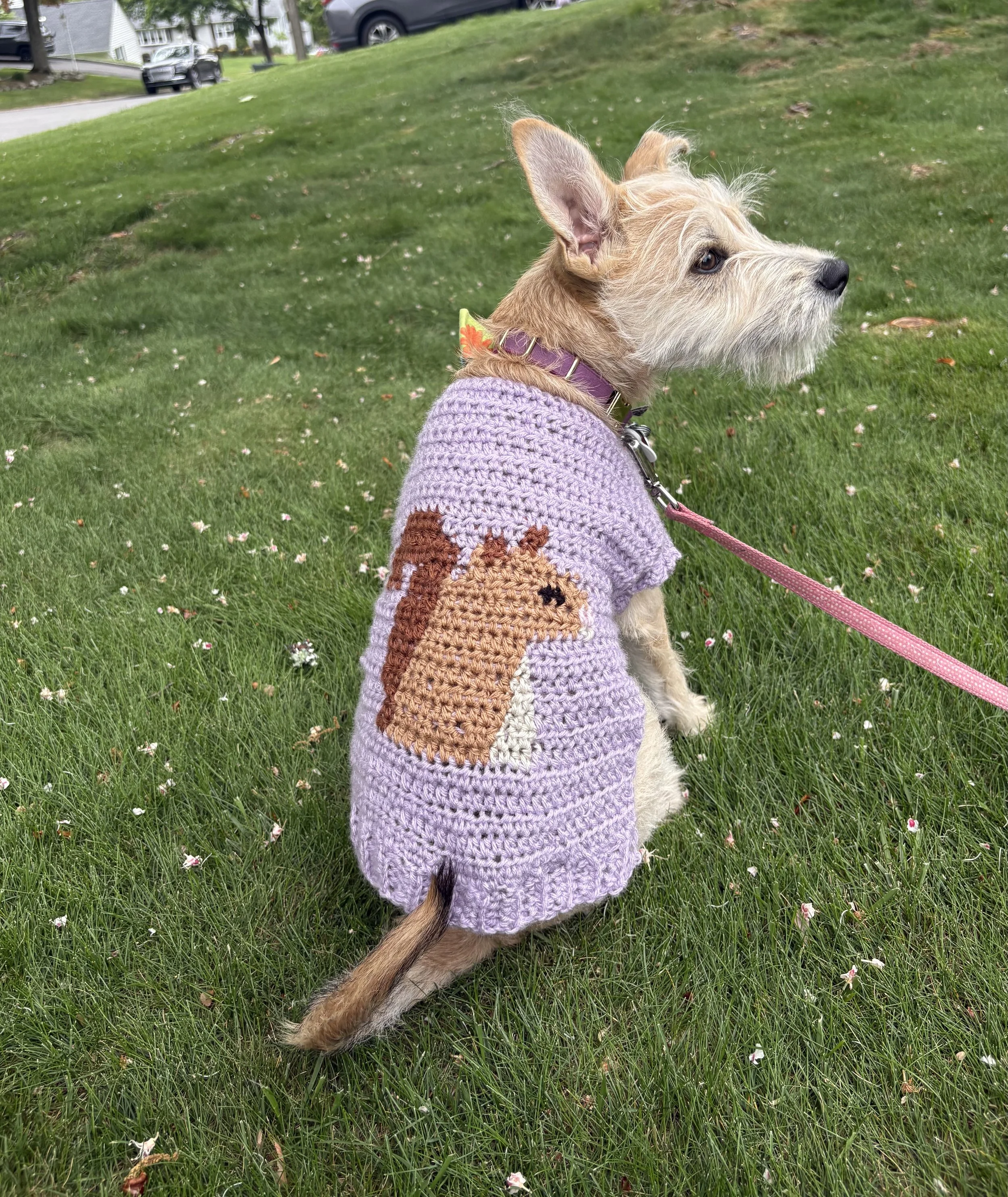 IG @alyssarcrochets