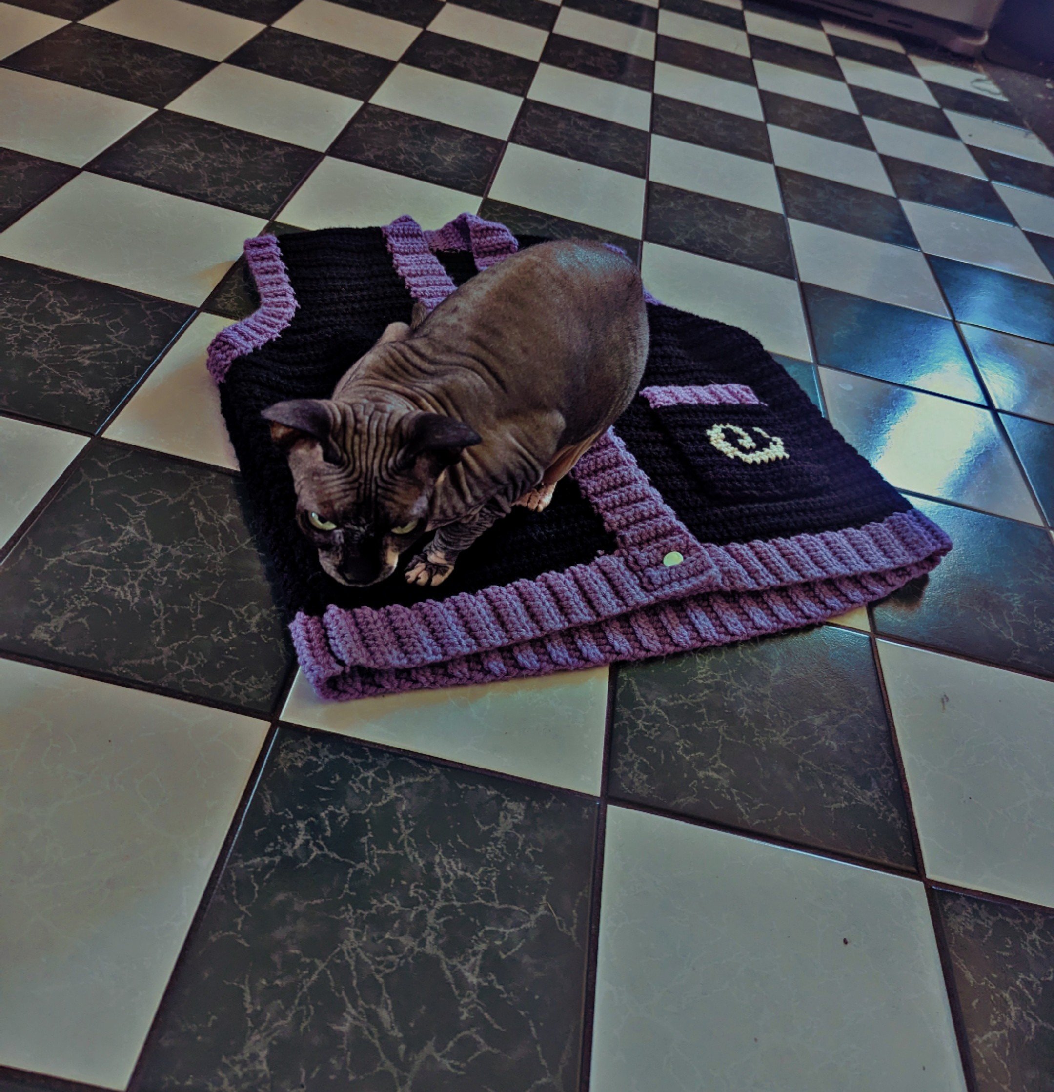 IG @tiny.jester.crochet