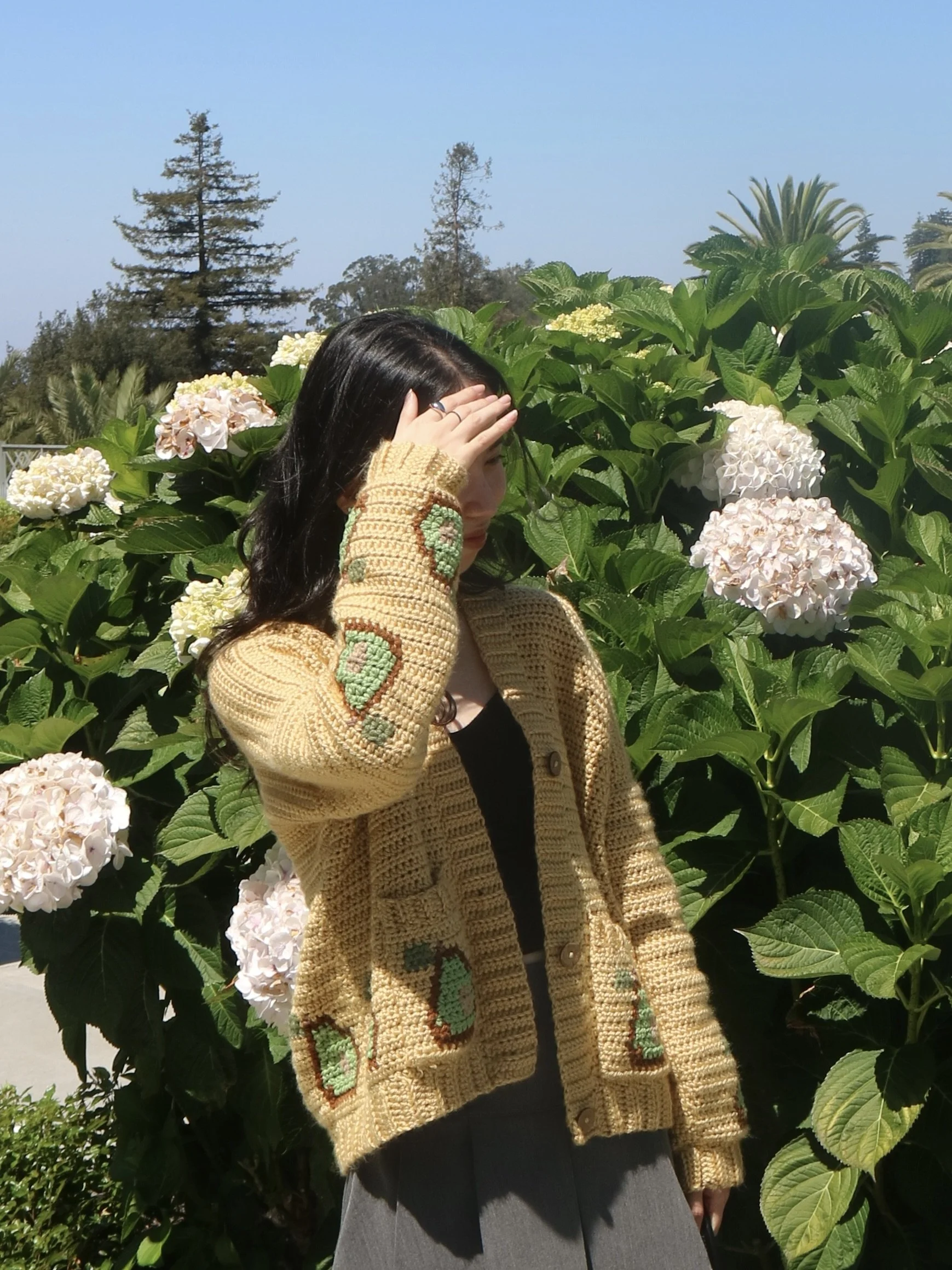 IG @todayifrog