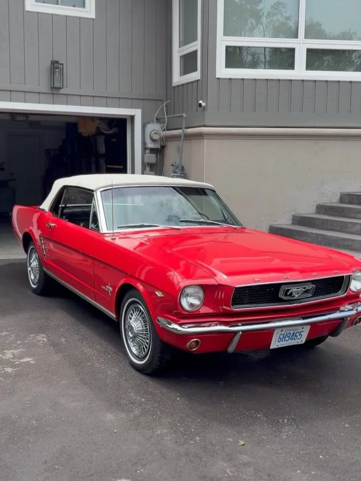 Nothing like a Classic Mustang 🐎

Full Interior &amp; Exterior service was carried out, nothing beats a clean car for those summer rides!

#CarCare#CleanCar#BeforeAndAfter#AutoDetailingLife#ShineTherapy#GlossBoss#CarDetailers#DetailingAddicts
