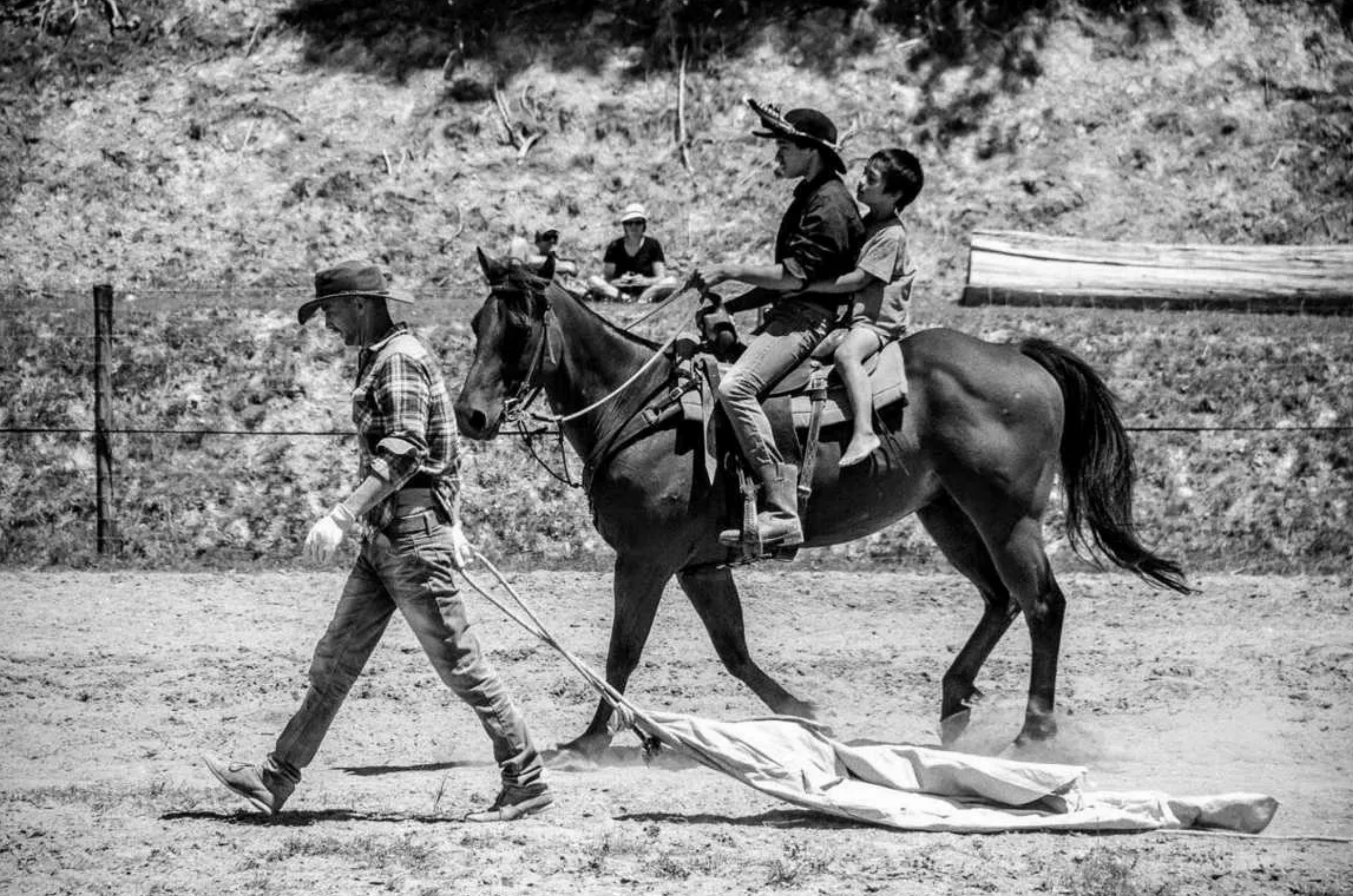 Paparoa A&P Show