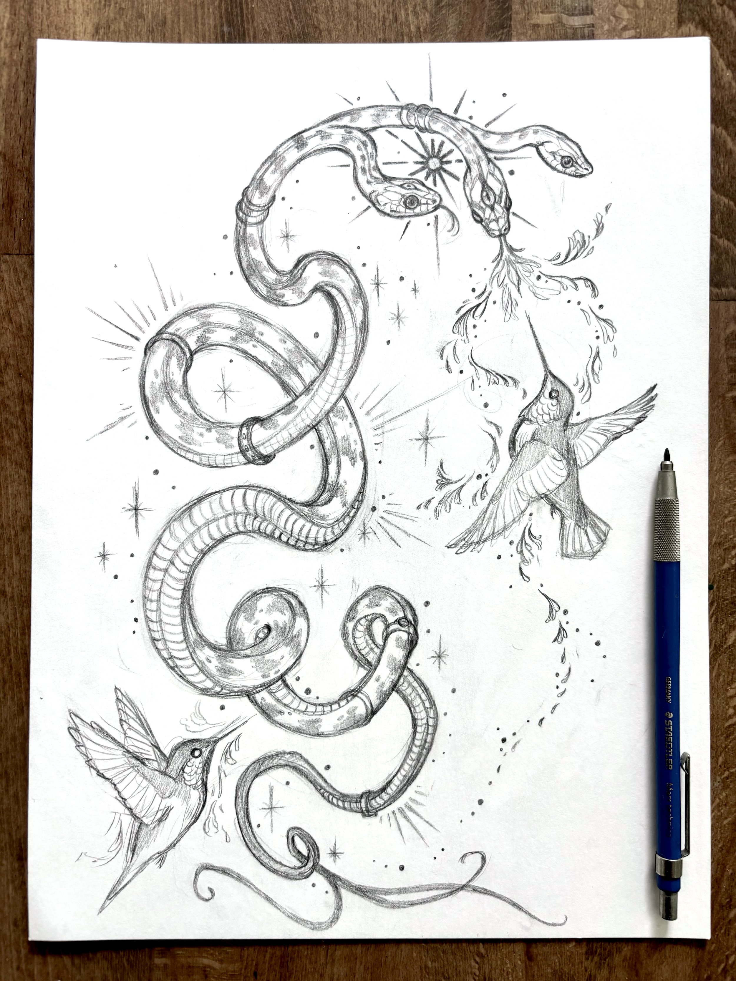 snake sketch.jpg