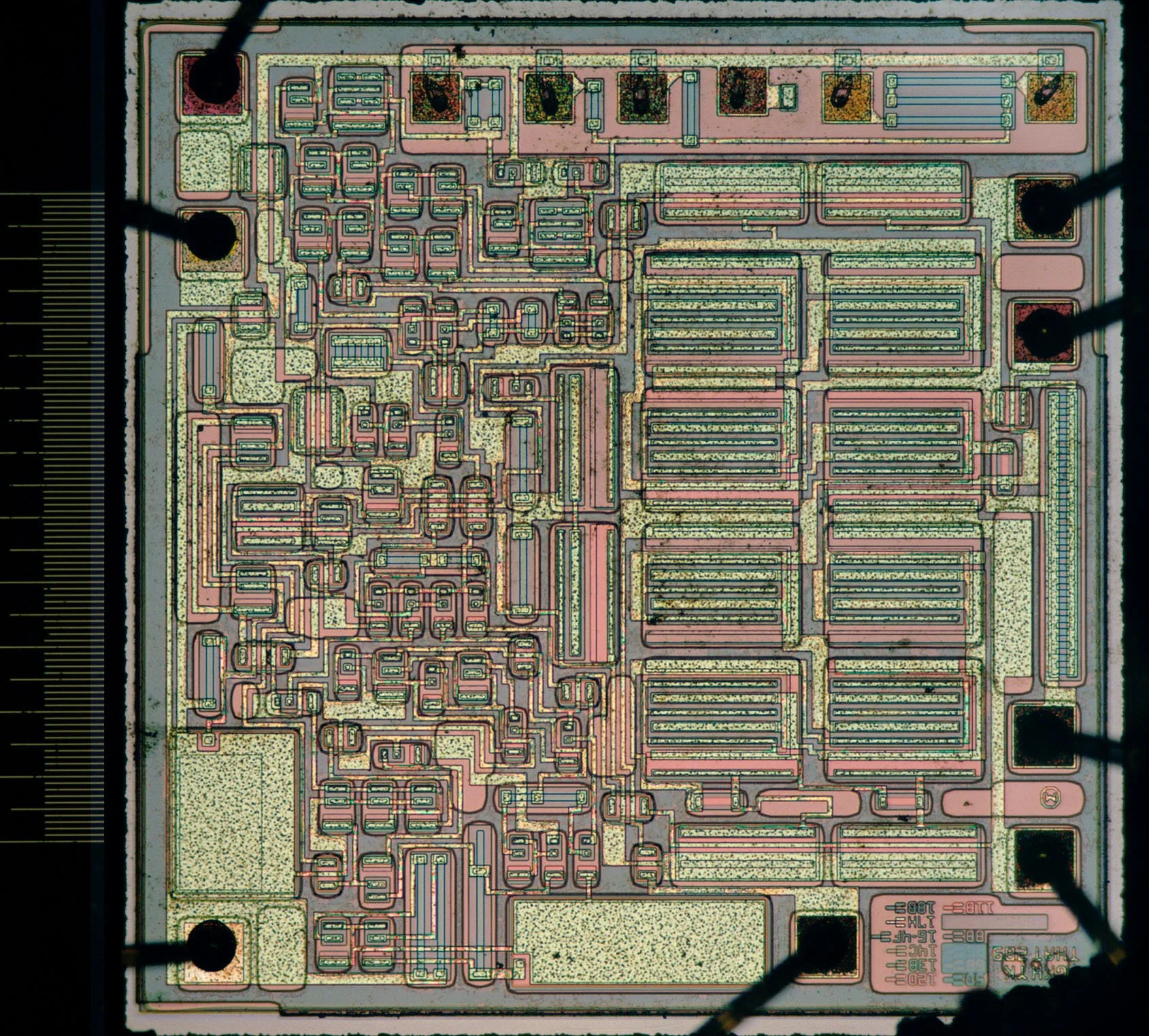 33908s.jpg