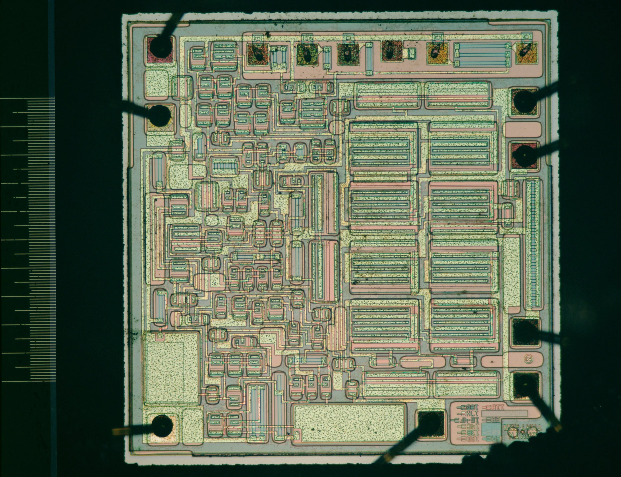 33906s.jpg