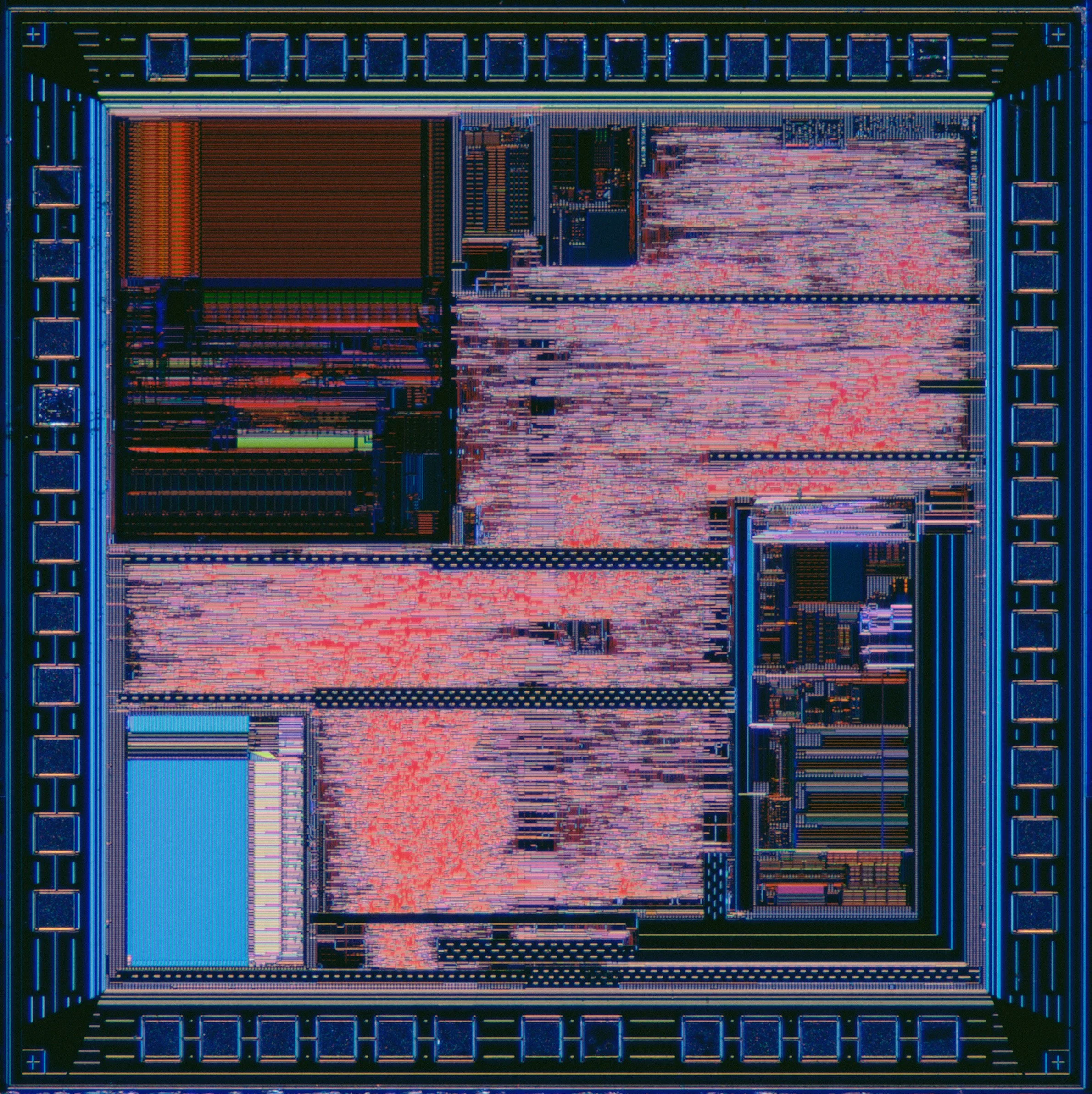 Cygnus2s.jpg