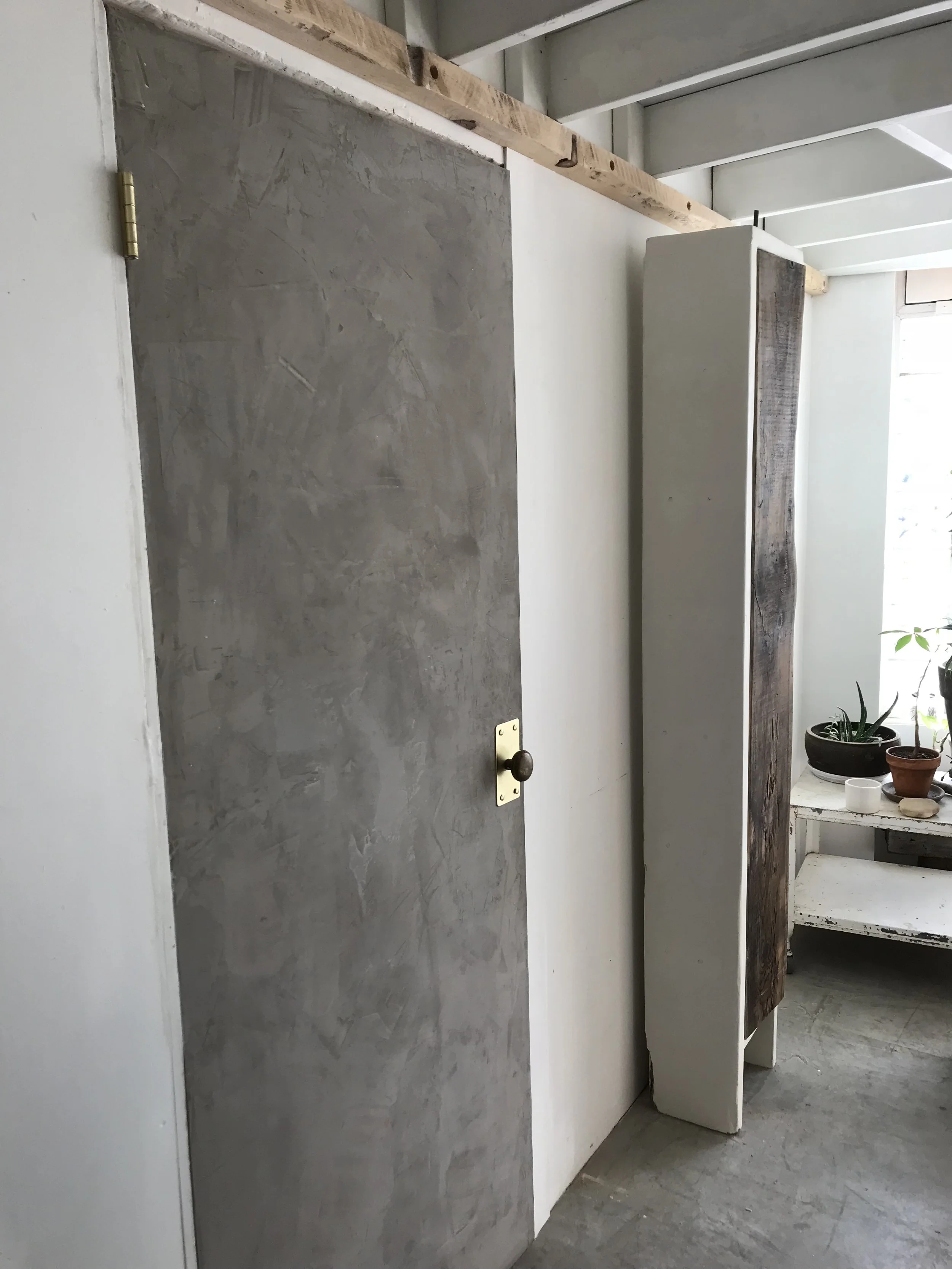 Interior of a room with a concrete door on the left, a tall wooden panel on the right, and a window with potted plants in the background.