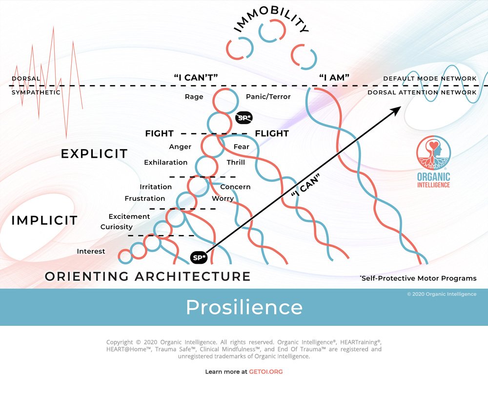 Organic_Intelligence_Prosilience_Map.jpg