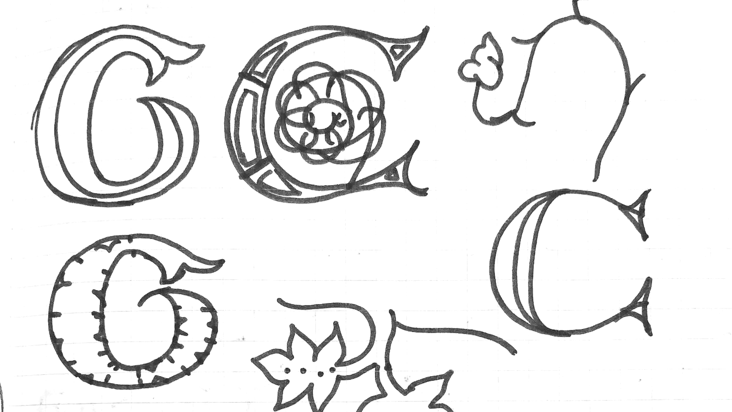 IMG-4130.png