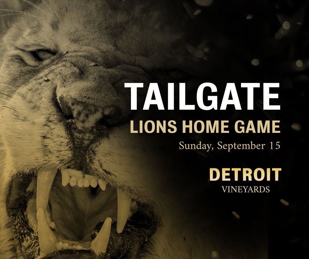 DV_FB_LionsGame_091519.jpg