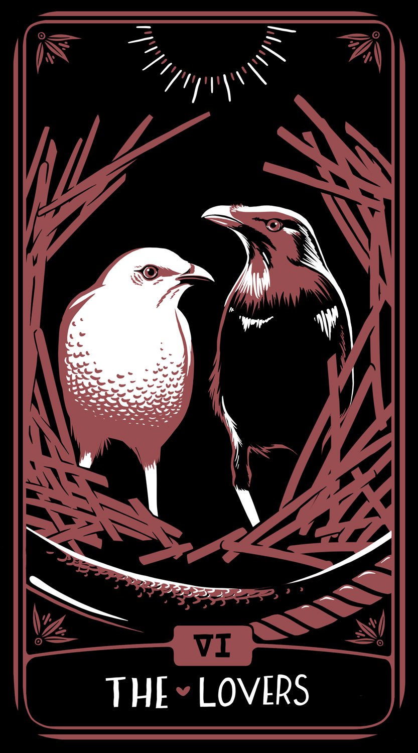 Satin Bowerbirds