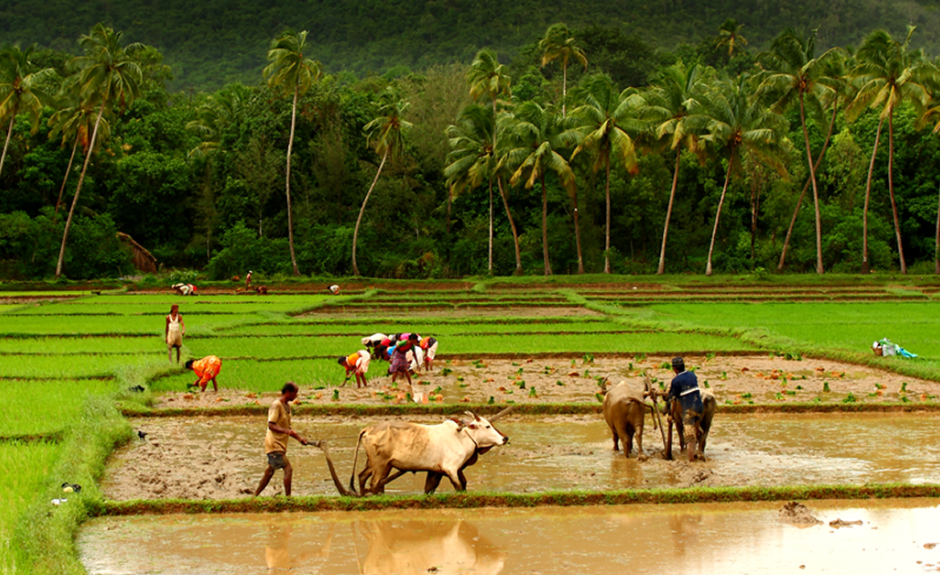 Covid-19 and sectoral shift in India