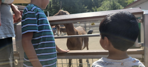 Photo courtesy of the author