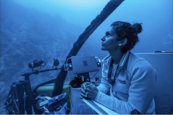 Photo courtesy of Dr. Diva Amon