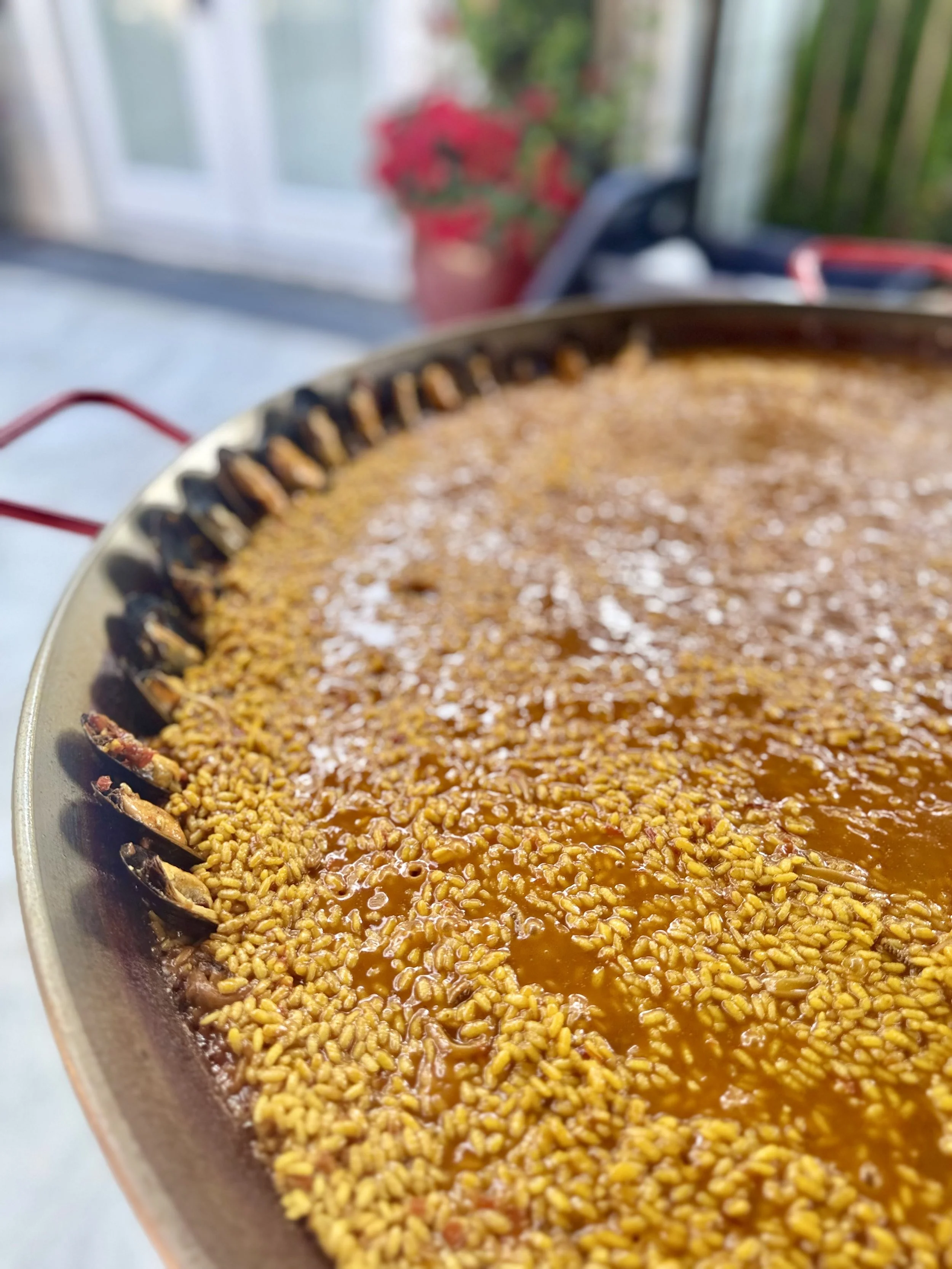 Close-up of a round dish filled with a thick, brown, savory stew topped with yellow lentils, with a blurred background showing a potted plant, window, and some household items.