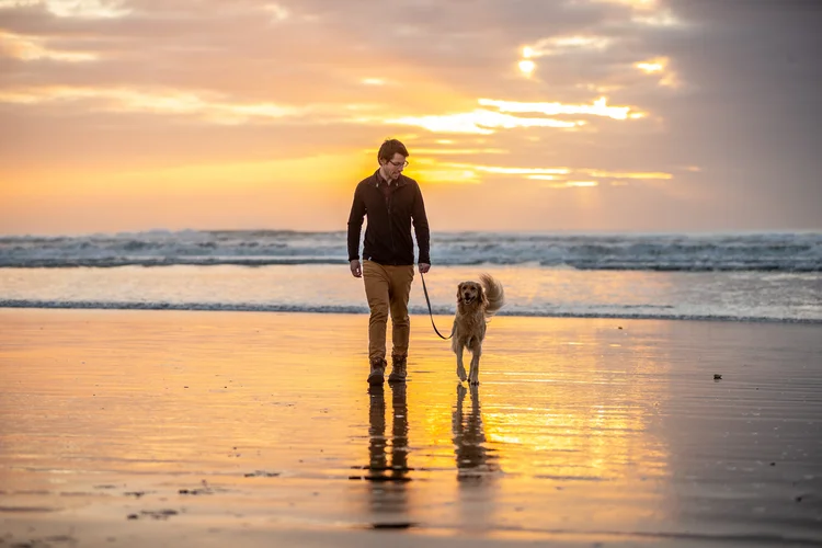 Naturally Dry Pet Food — Kiwi Country™