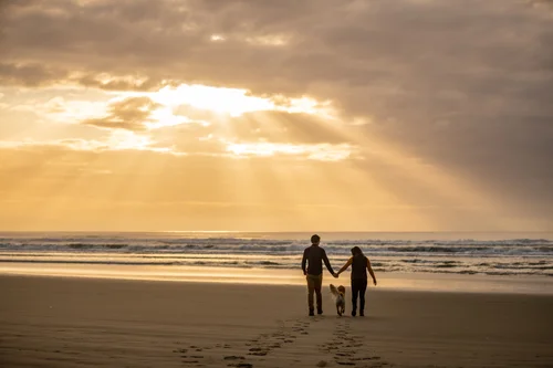 Premium Whole Pet Food | Kiwi Country™