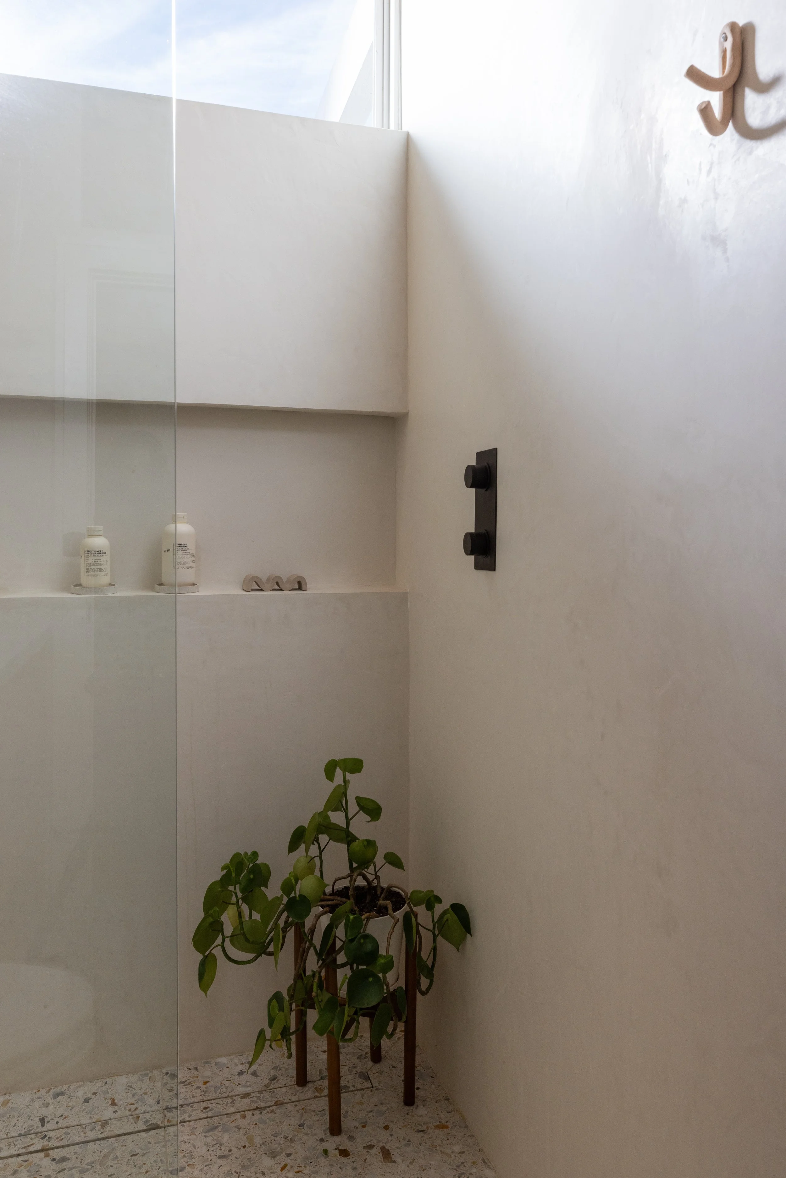 Shower niche and window