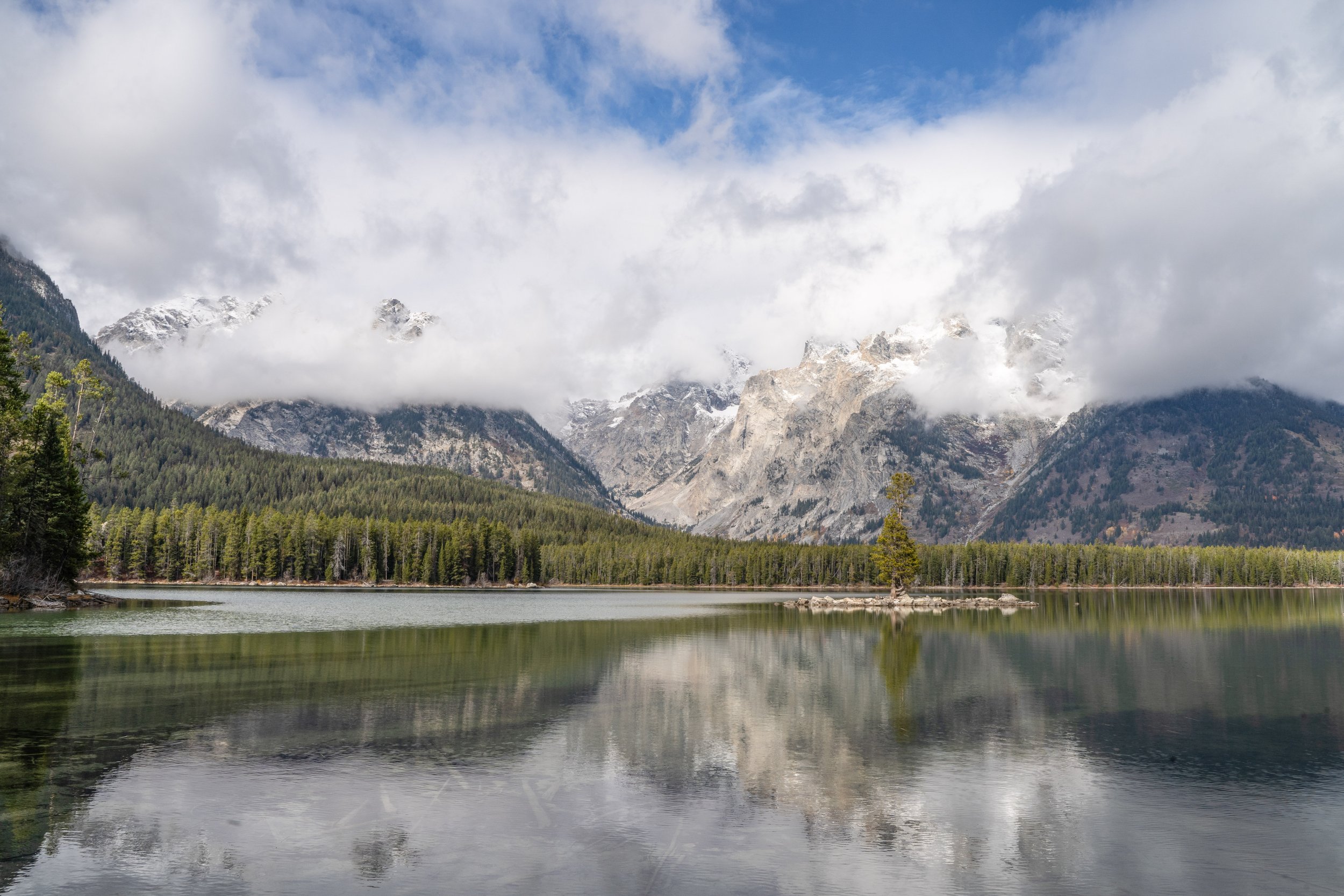 There's a Tree in that Lake, Grand Teton National Park, Wyoming