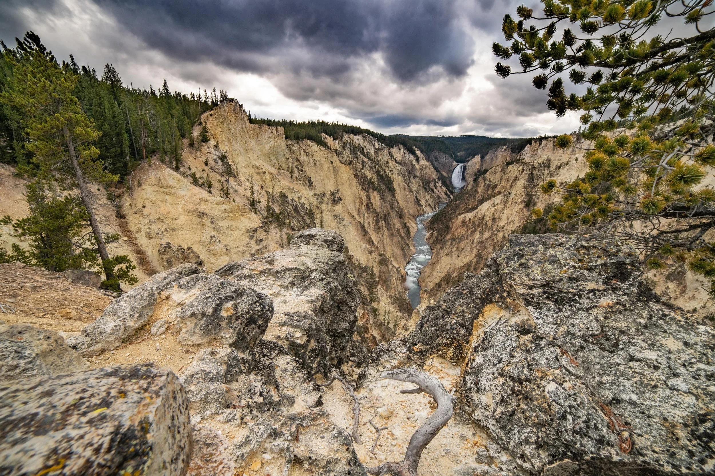 The Grand Canyon of the Yellowstone, Yellowstone National Park, Wyoming