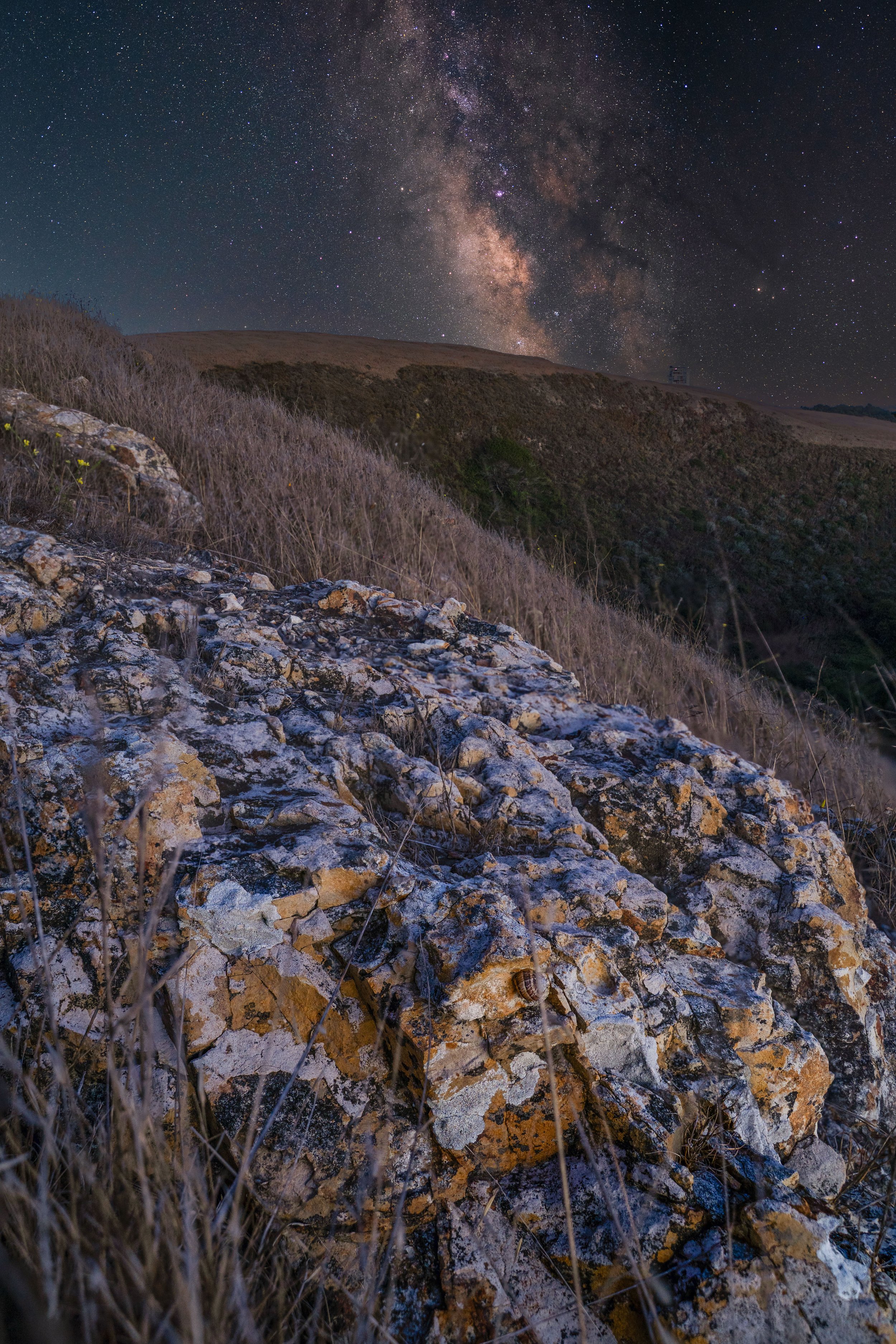 Cotoni Coast Dairies Rock