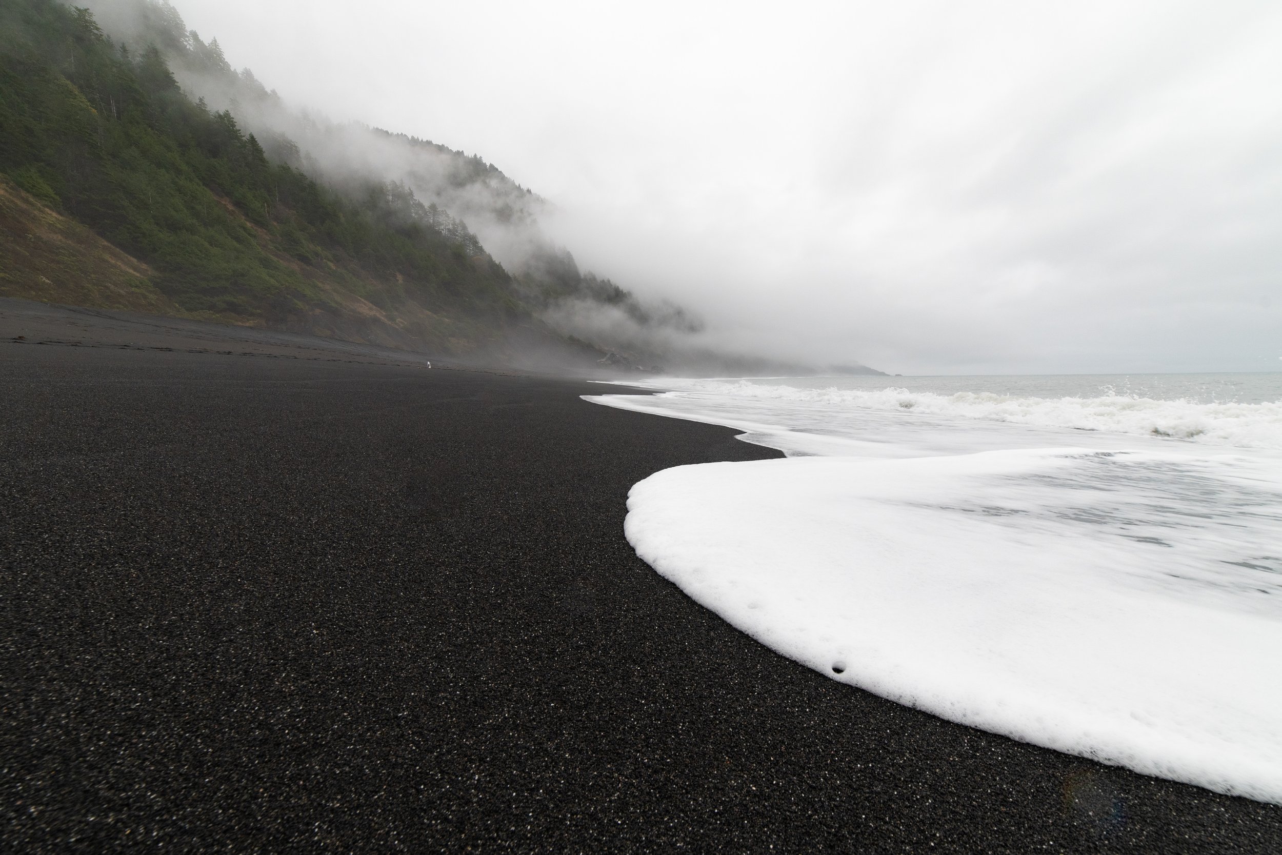 The Lost Coast Froth