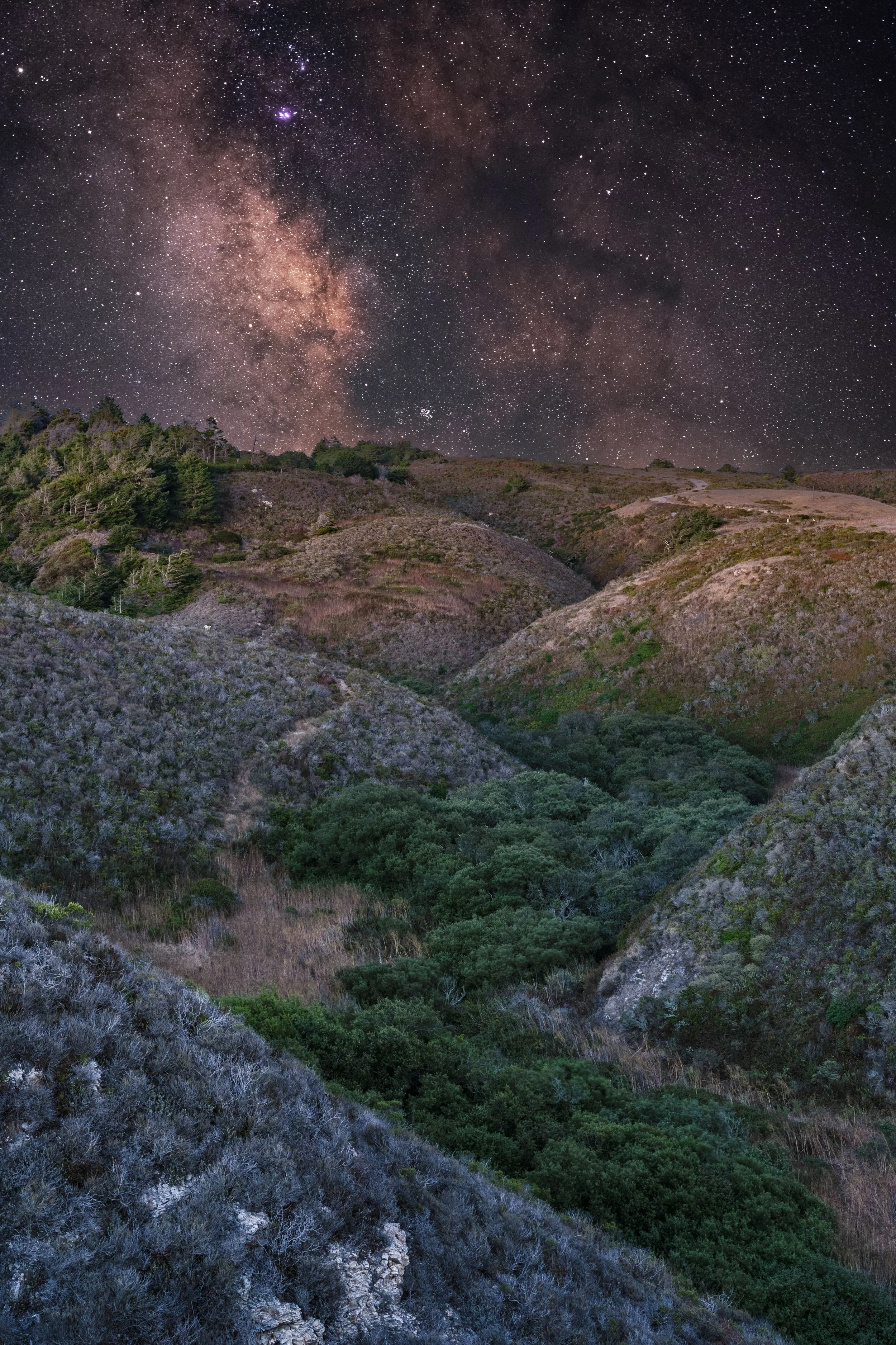 Cotoni Coast Dairies Hills