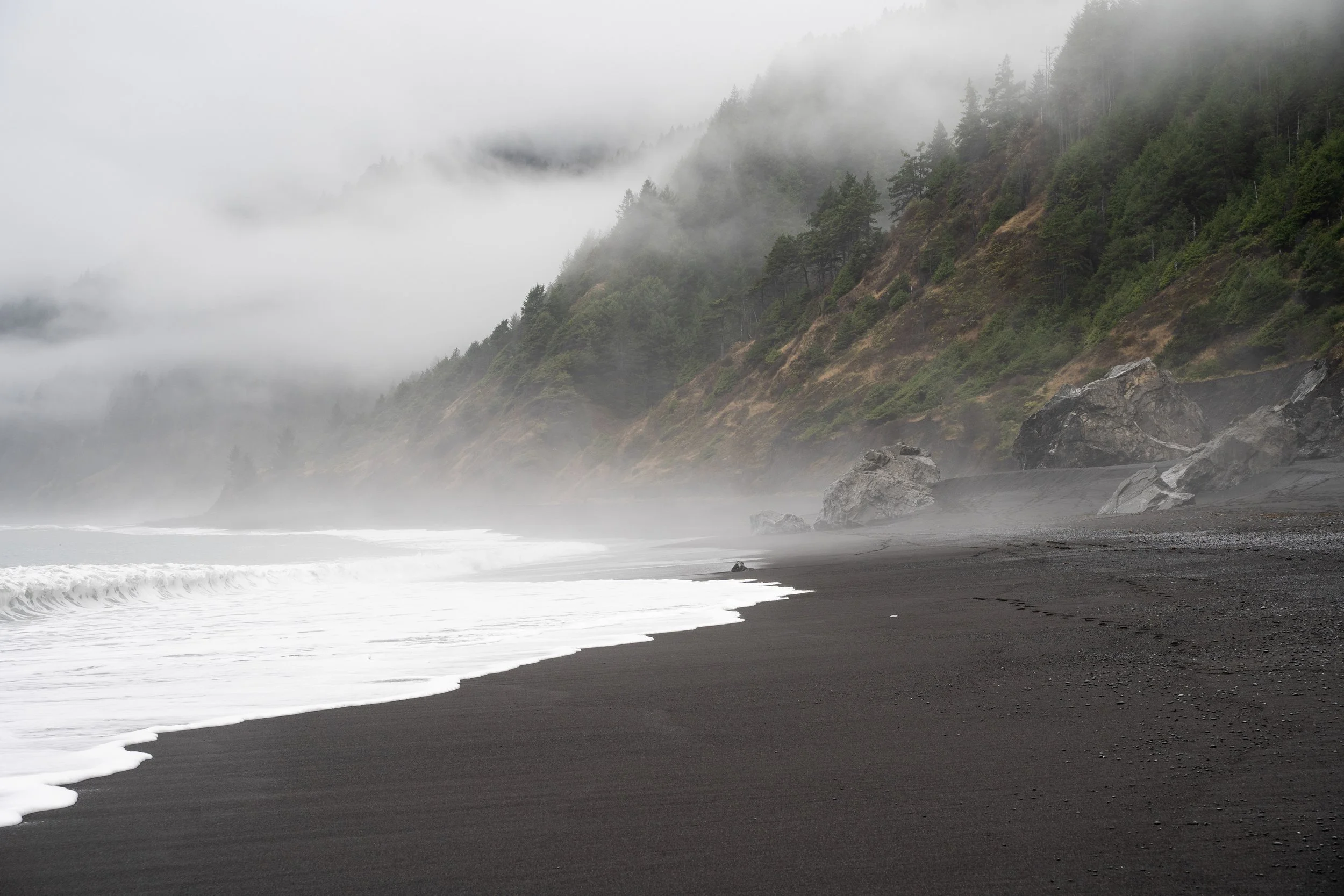 The Lost Coast Misty Shore