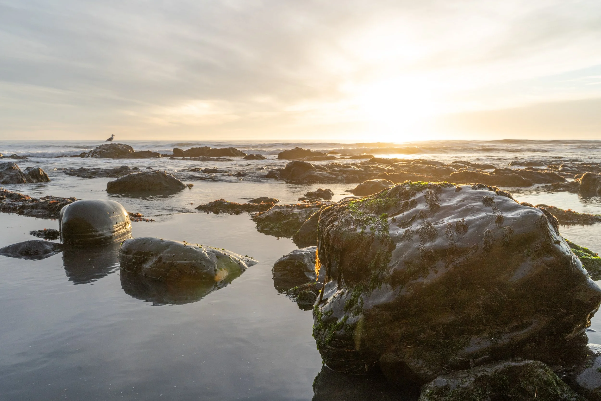 The Lost Coast Sunset Reflection