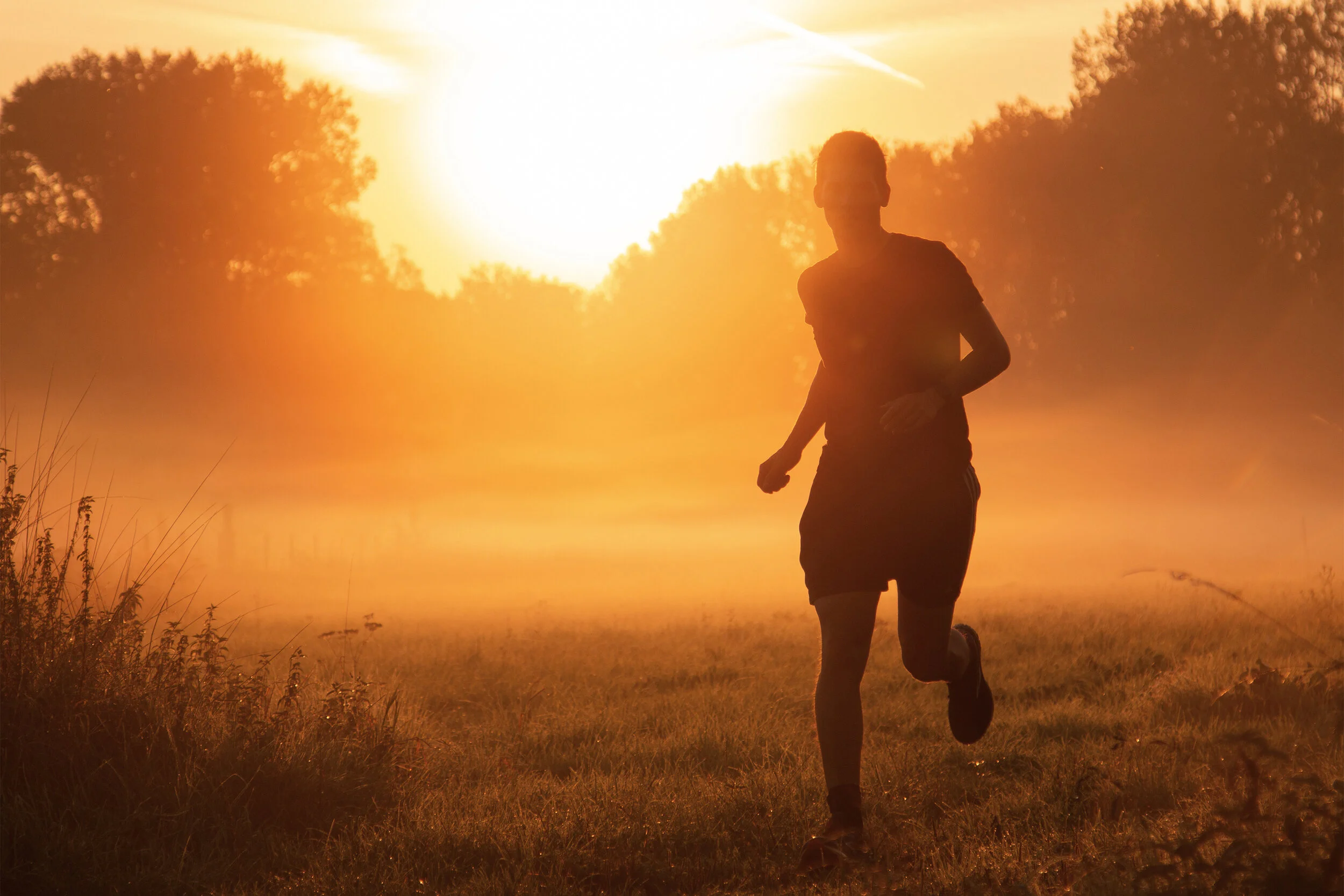 New ‘Geronimo’ single is out now