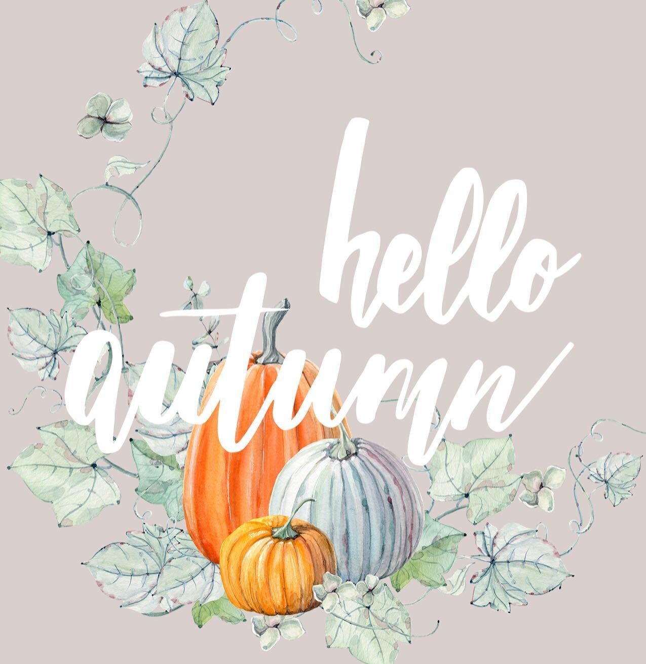 TO HELP GET YOUR SKIN AUTUMN/WINTER READY, 🍁🍂
THERE WILL BE SOME EXCLUSIVE OFFERS ON THIS MONTH. 

Specials will be announced 5PM TODAY. 
#hiddenbeauty
#enhanceyourtruebeauty
#lovetheskinyourin
#skincarespecialist
#advancebeauty
#elemisskincare
#el
