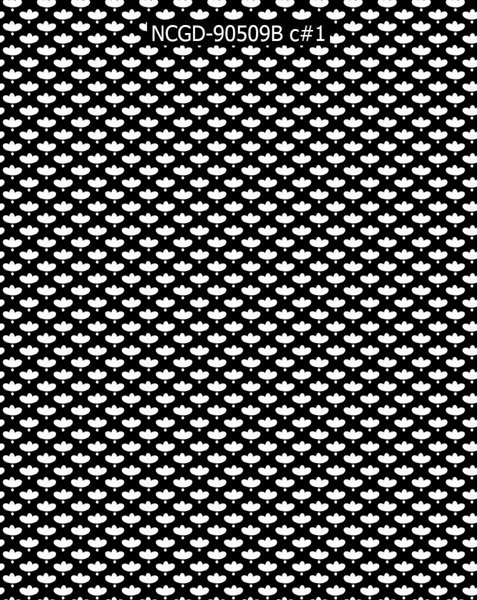 NCGD-90509B c#1.jpg