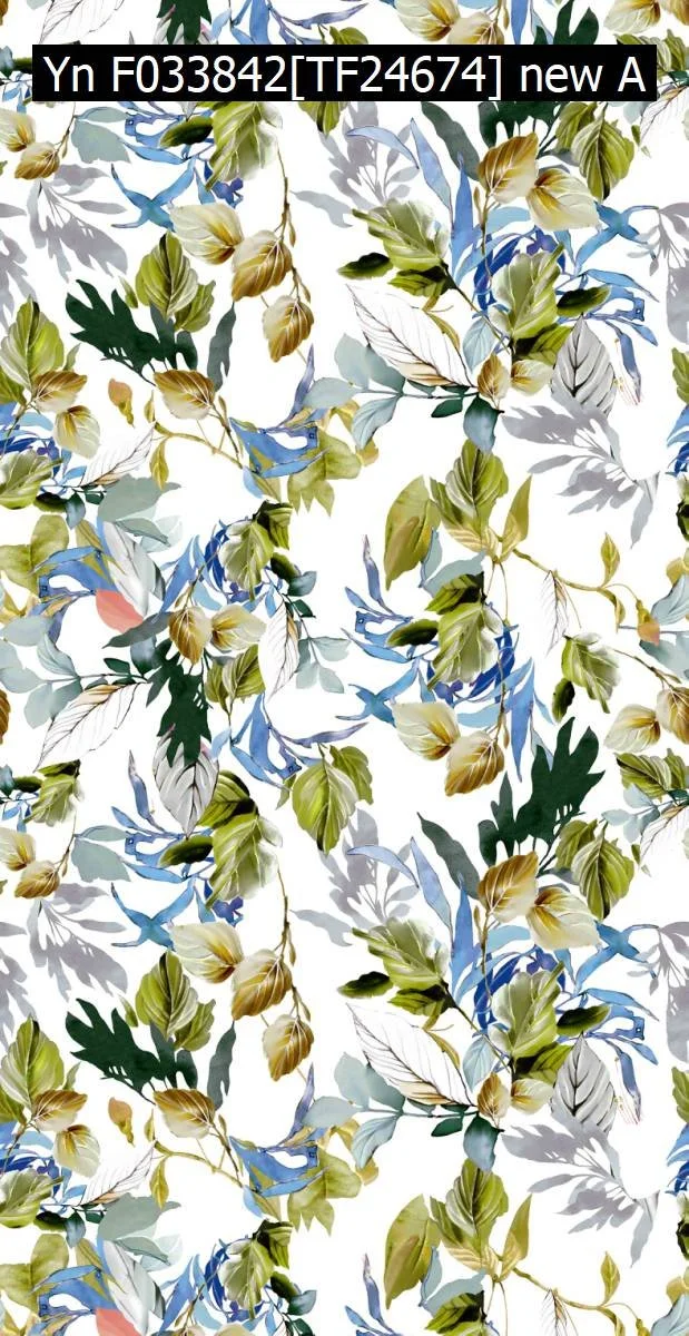 Yn F033842[TF24674] new A.jpg