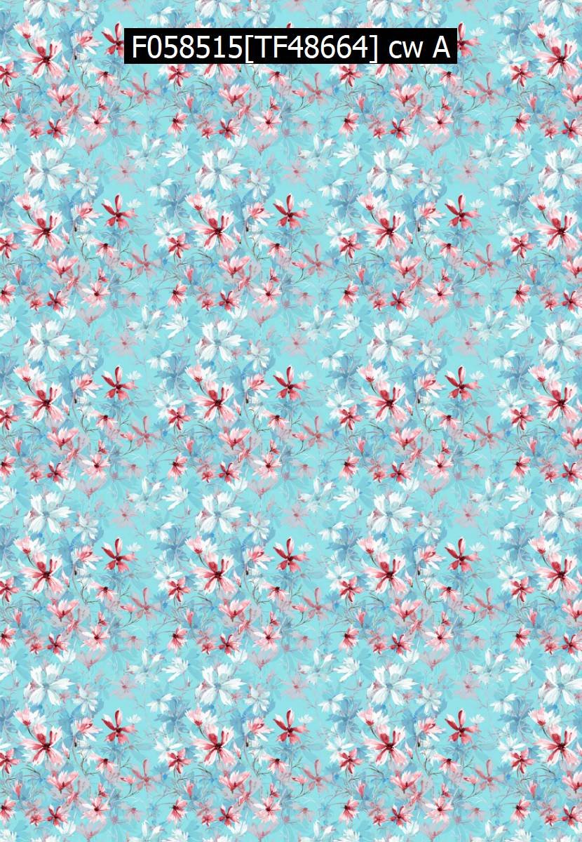 F058515[TF48664] cw A.jpg