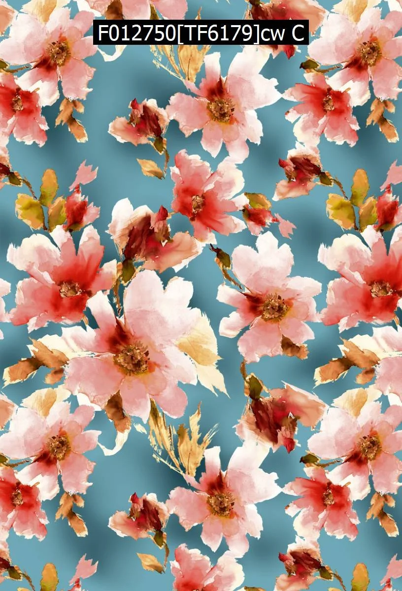 F012750[TF6179]cw C.jpg
