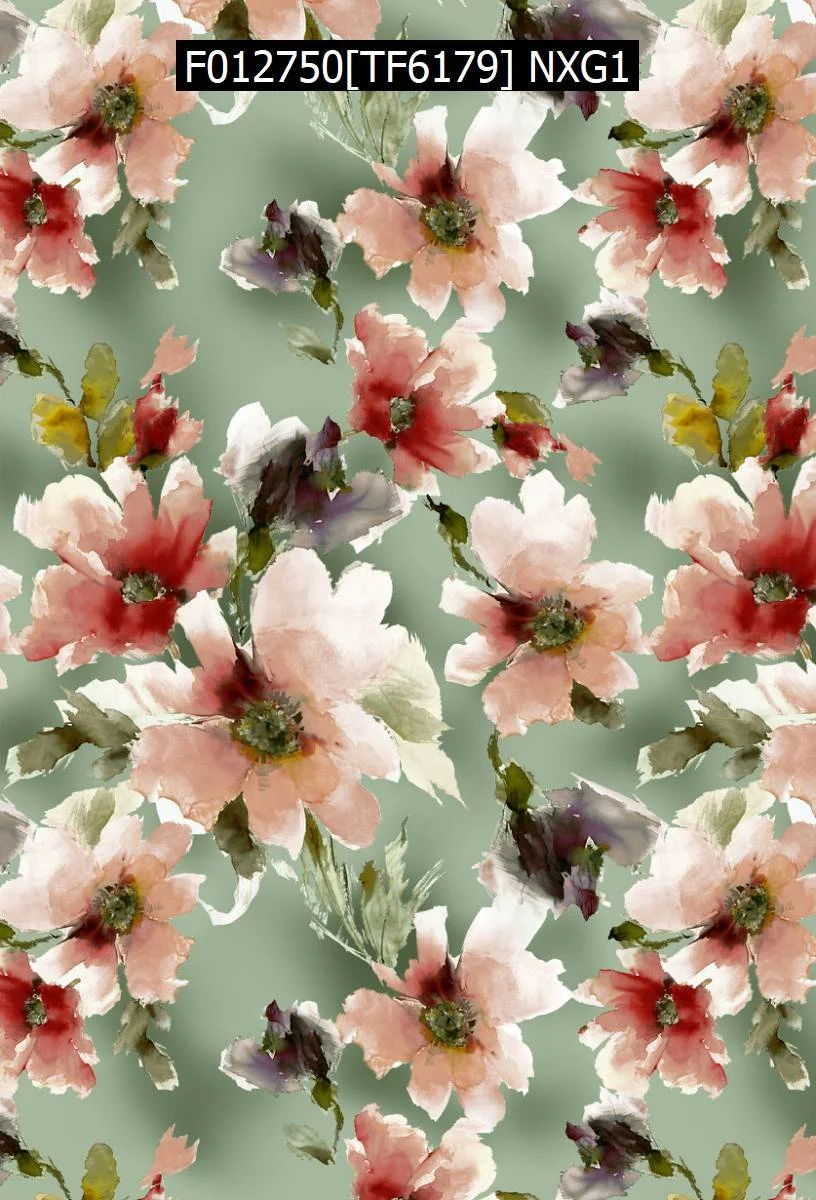 F012750[TF6179] NXG1.jpg